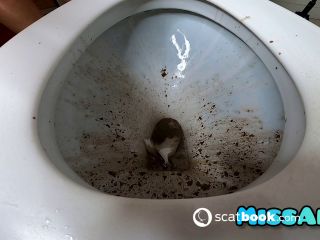 Preview 10