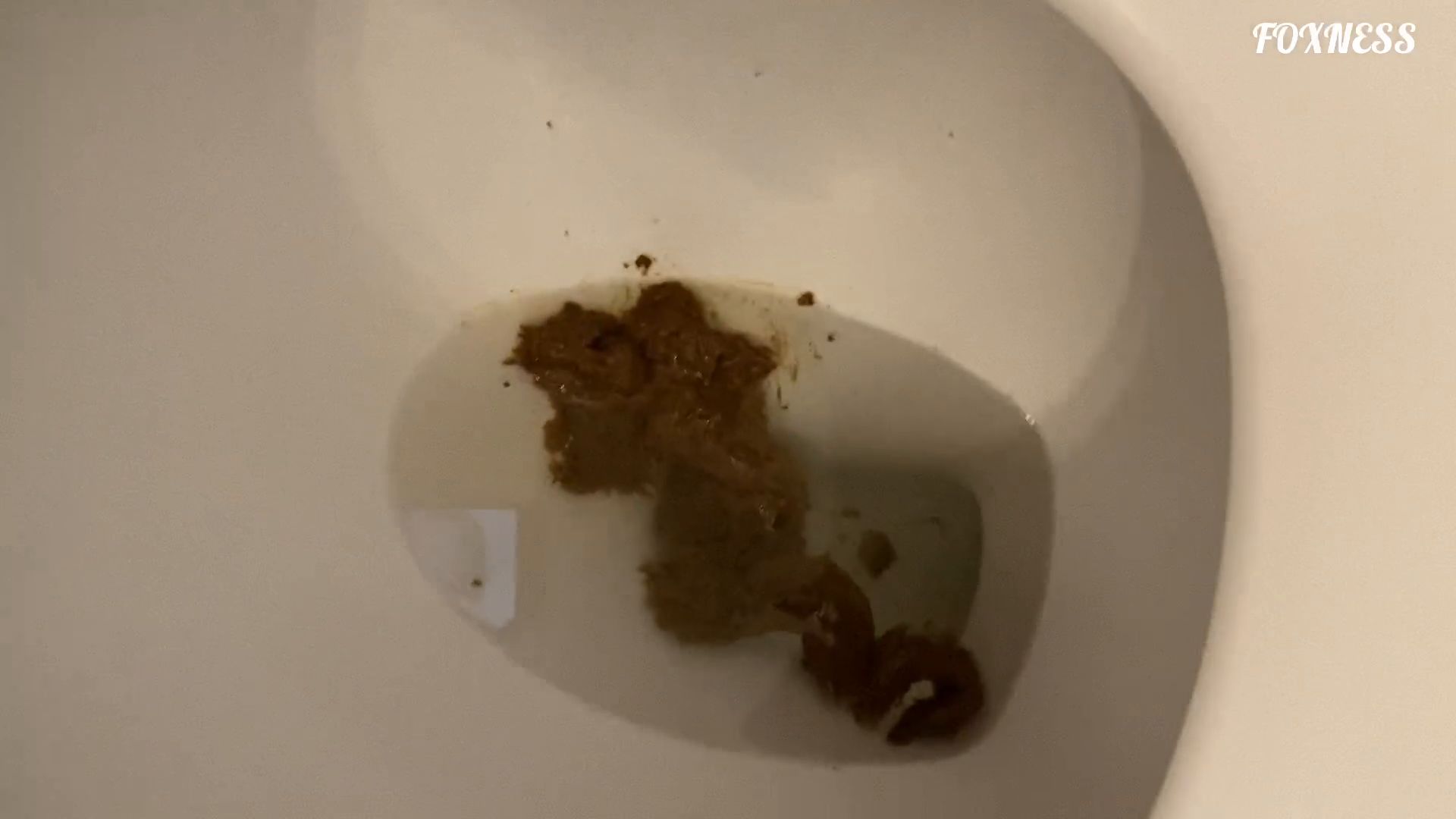 Foxness – POOPING! a series – episode 24