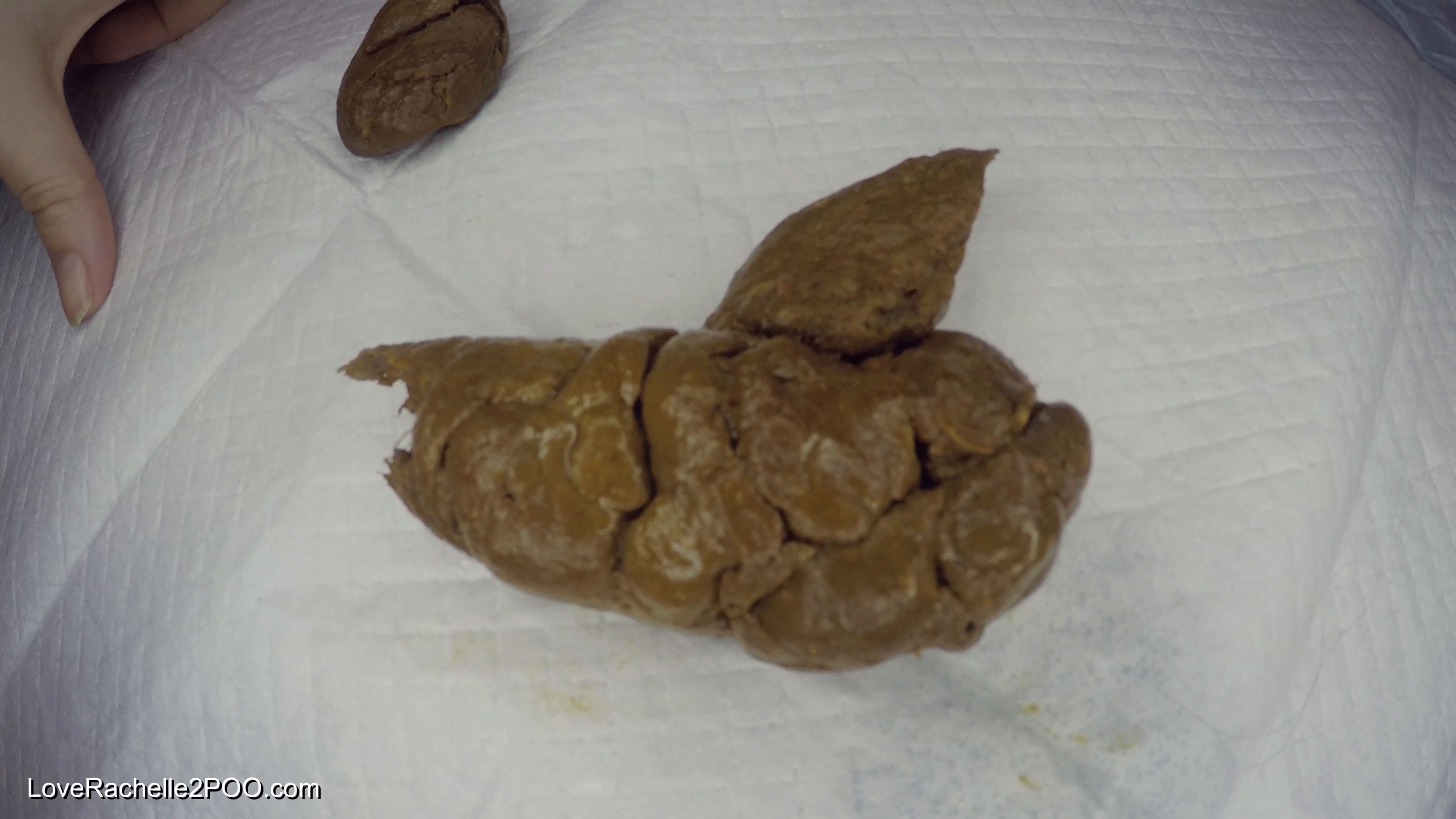 LoveRachelle2 – Daily Shits I