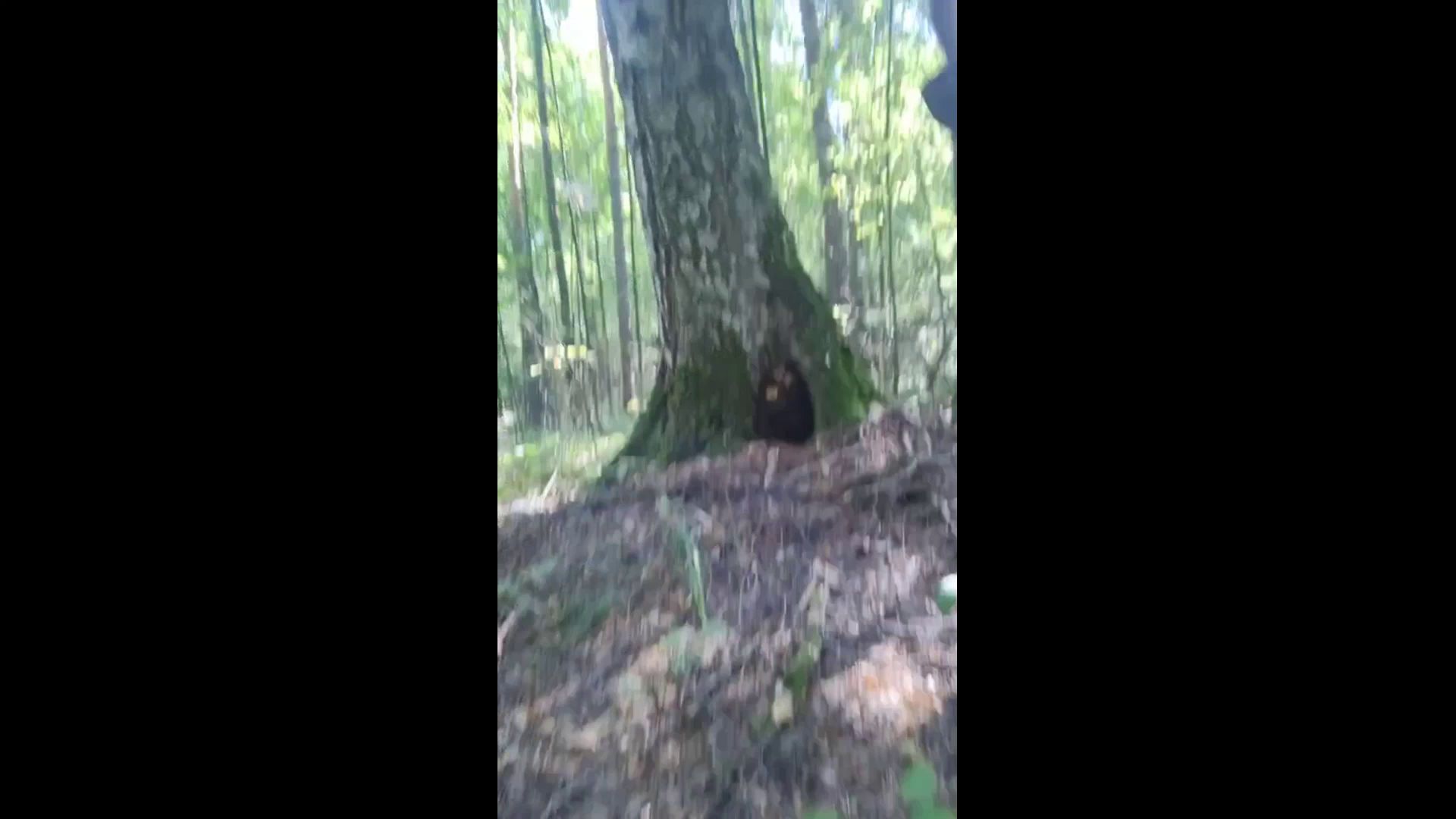 poogirla – poop in the park