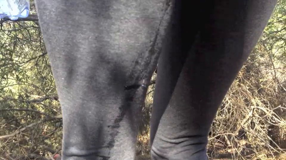 PUBLIC PISSING ADVENTURES