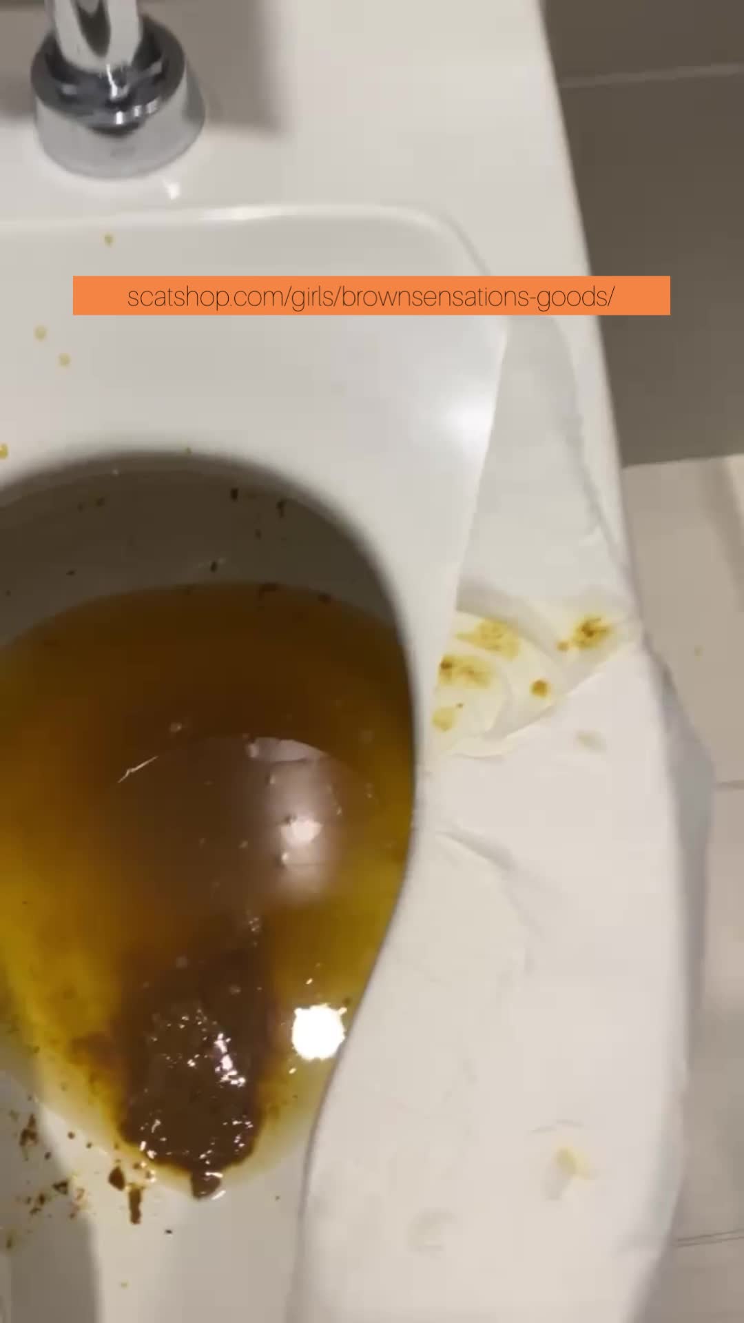 Double Toilet Shits