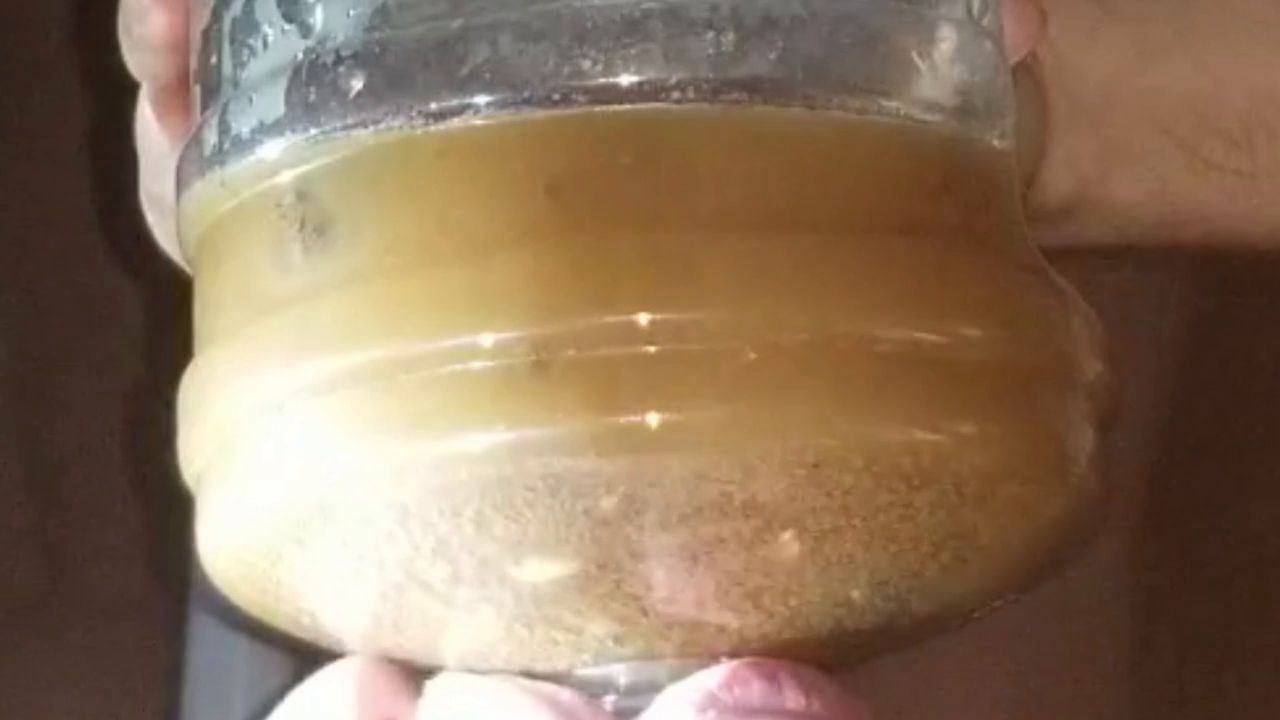 SSBBW Queen Siya – 30 minute special – I poop TWO BIG MEALS in his devot…