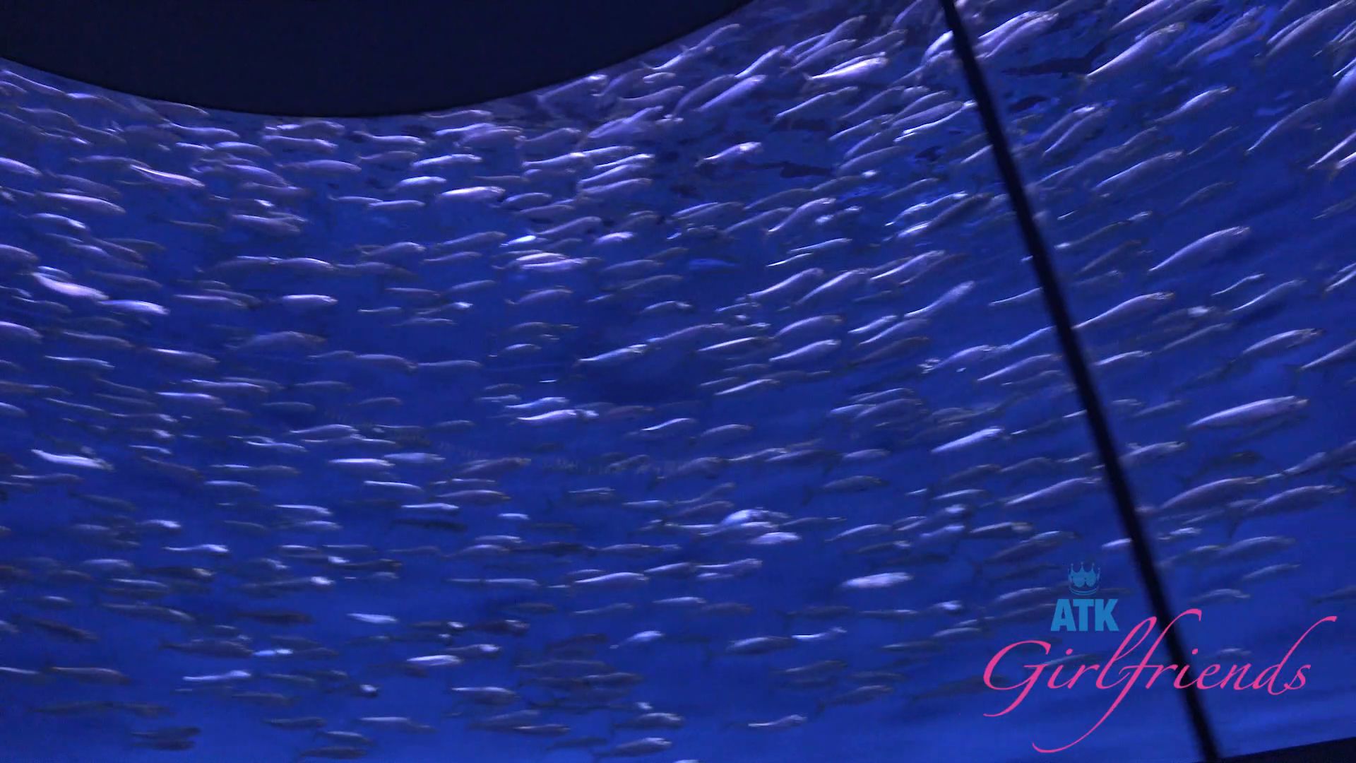 Summer Renee Pee 12 12 2025