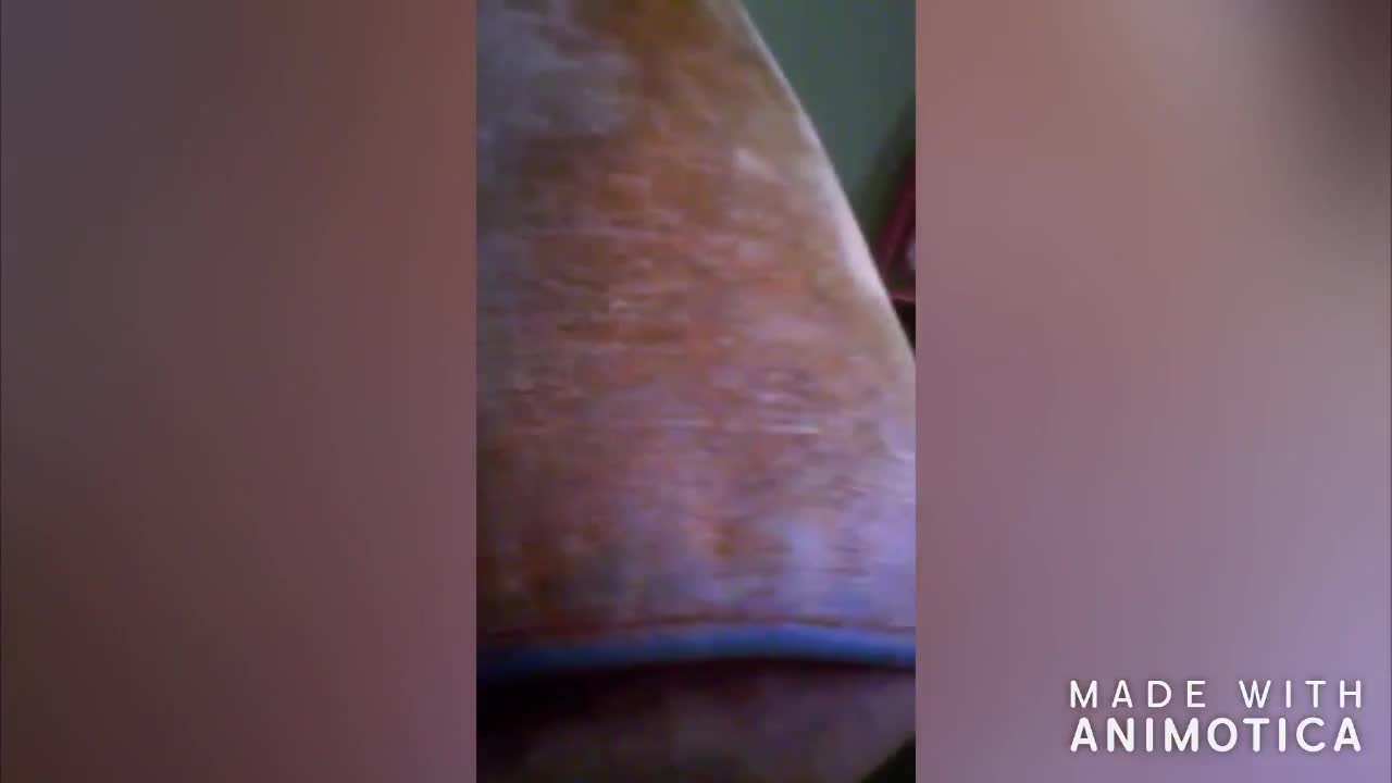 VOODOOVIXEN – Shitty Carpet And Bed