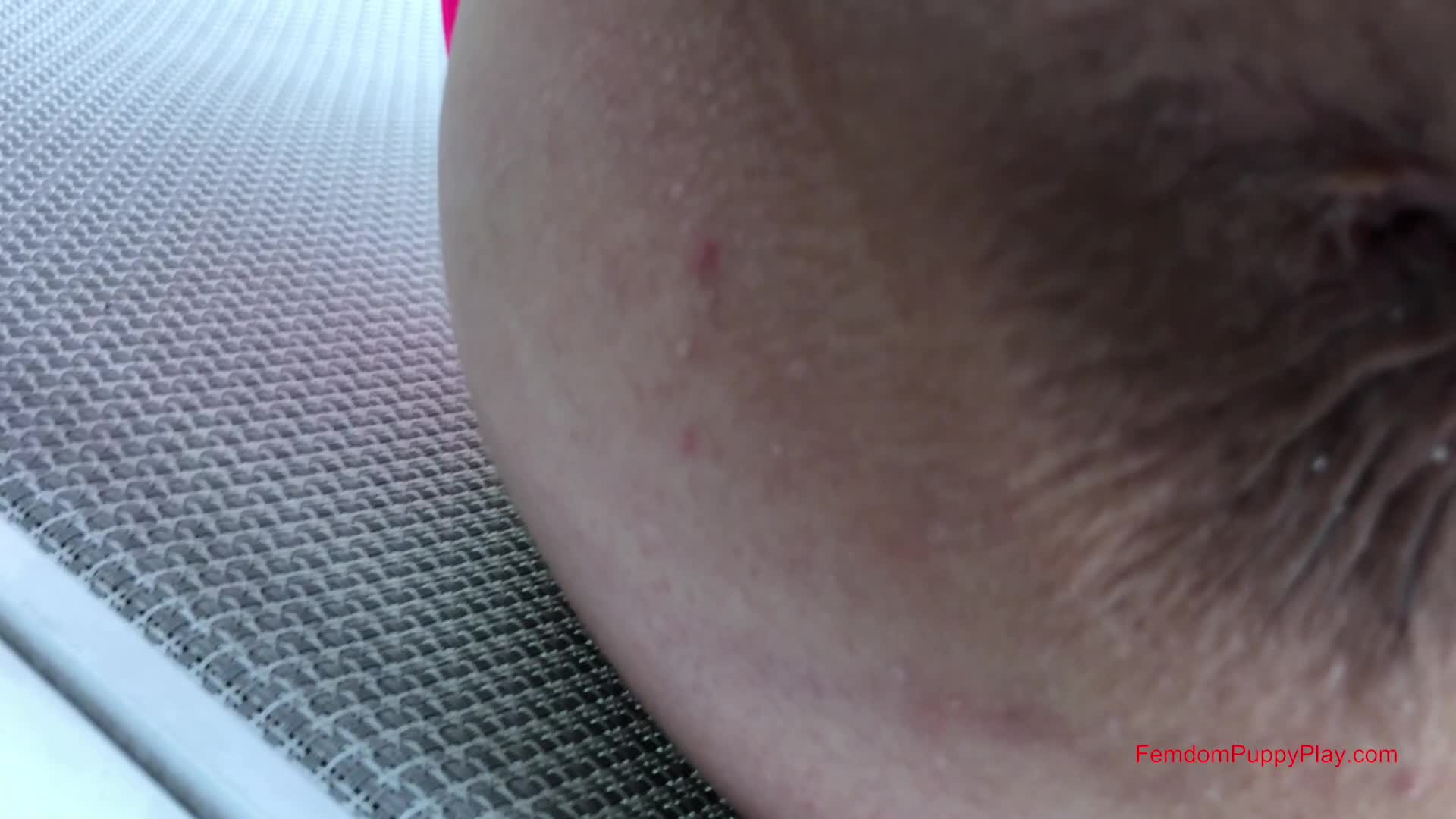Femdom Puppy Play – Misty Reins Nosey Neighbor Pee Pup