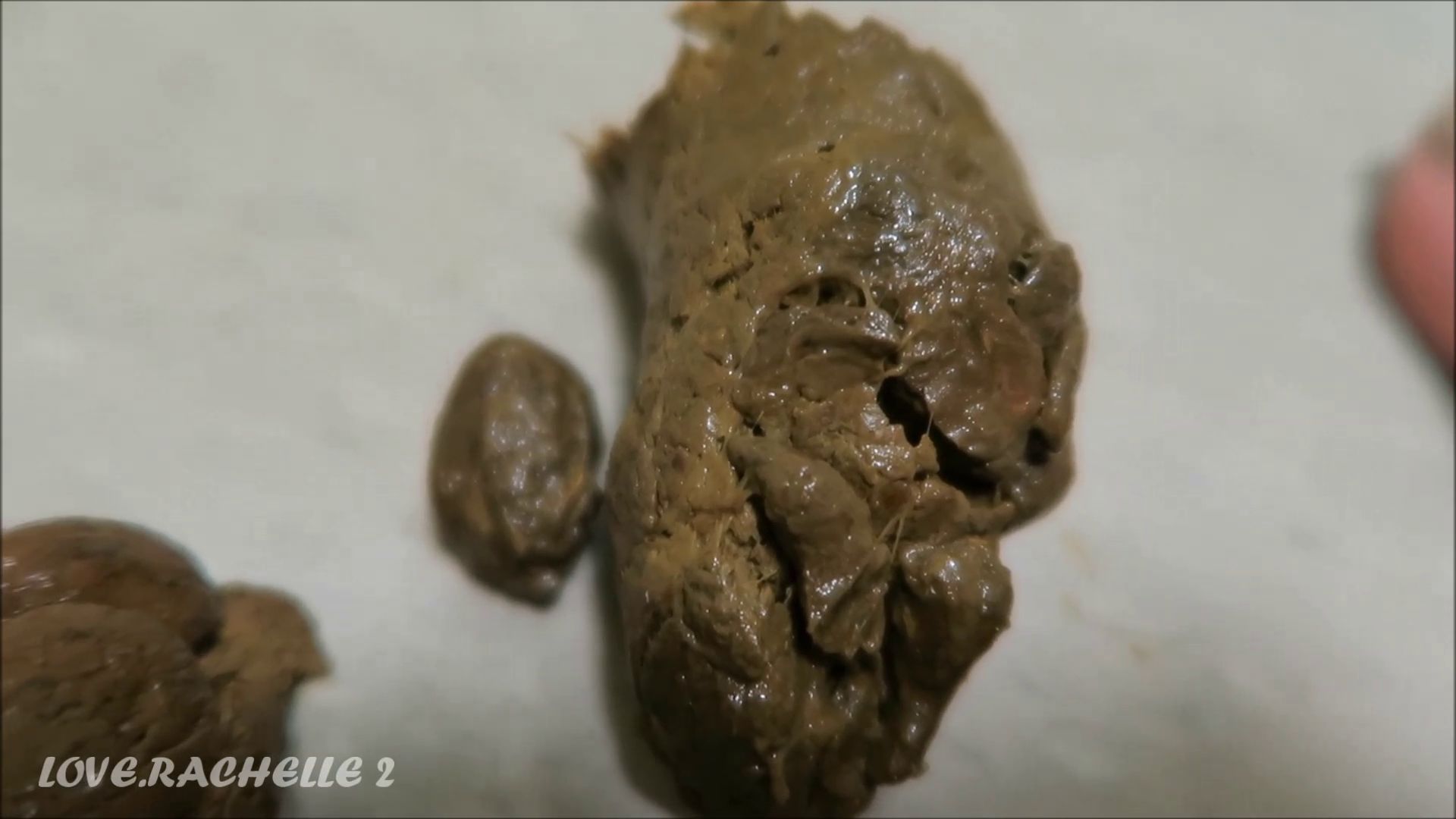 LoveRachelle2 – Poops Galore