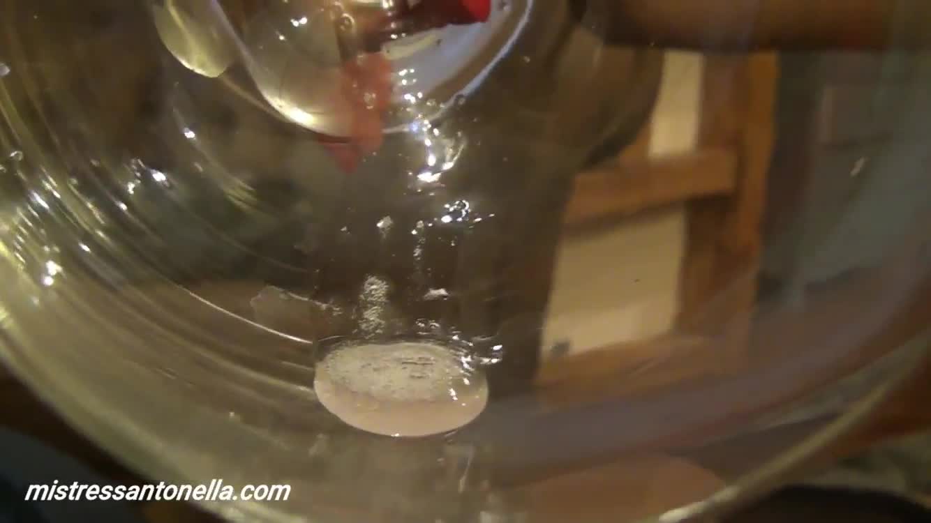 Champagne vintage ‘2019 – Mistress Antonella