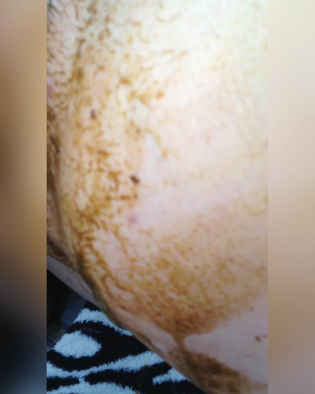 Dirty ass fuck in the woods