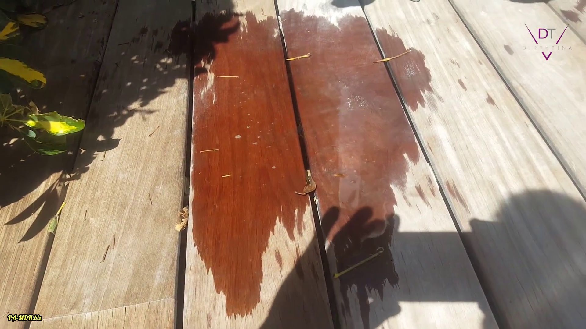 Dirty-Tina – Natursekt am pool