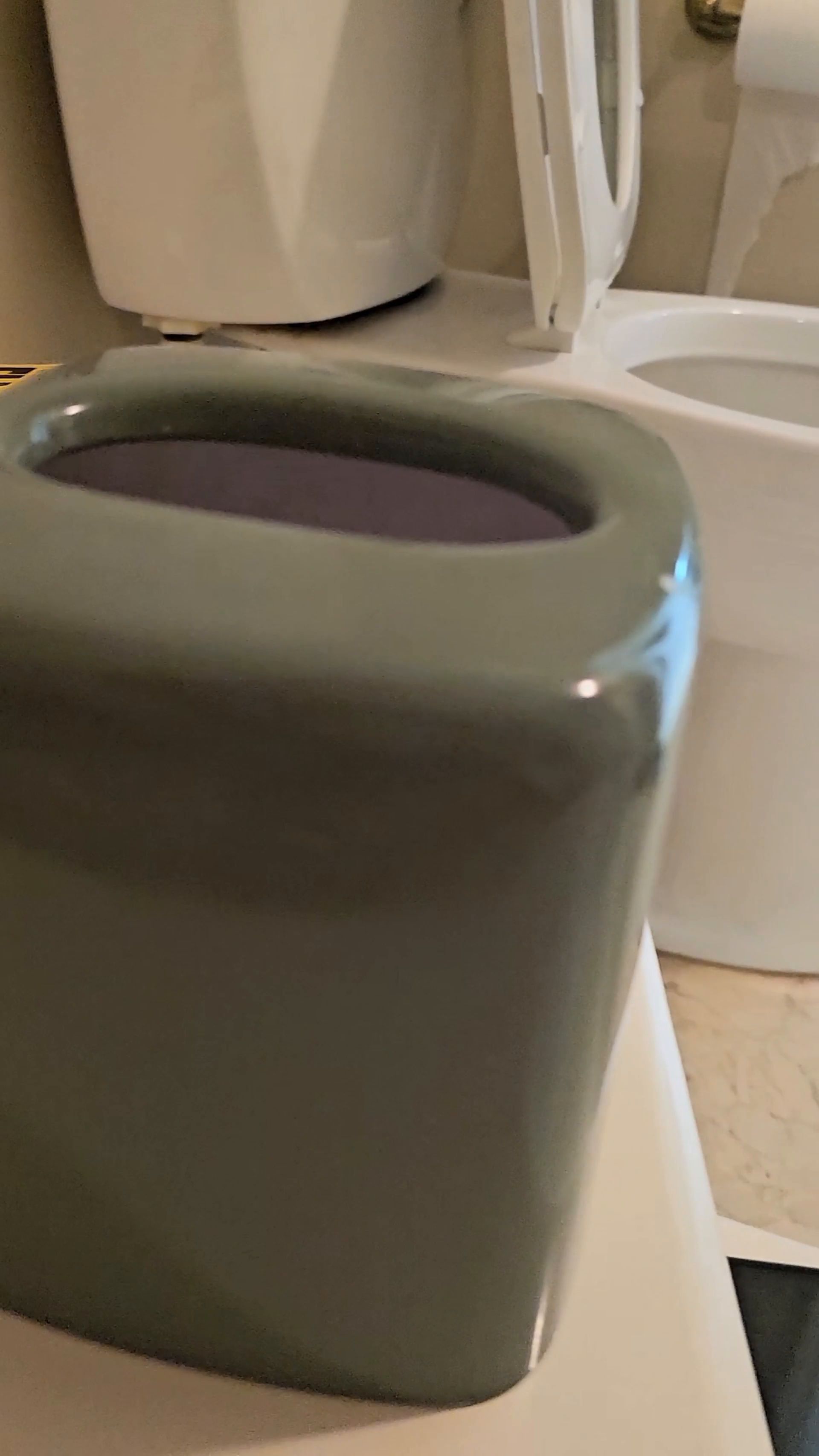 Goddess Fire – Turning My Sissy Bitch Gary Into My Toilet Slave