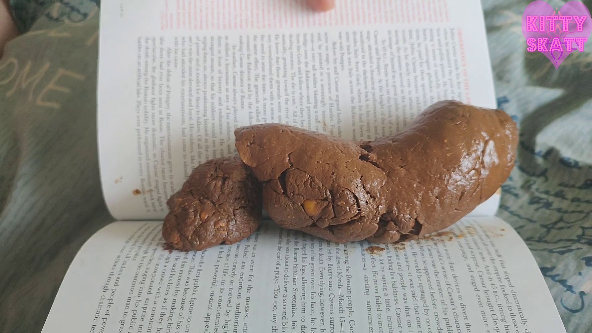 Kitty Skatt – The Book Critic This book stinks