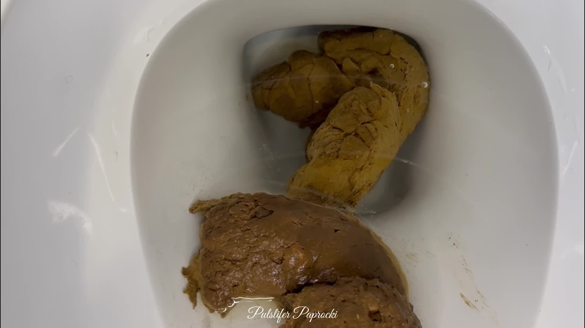 Pulsifer Paprocki – Beautiful Girthy Log