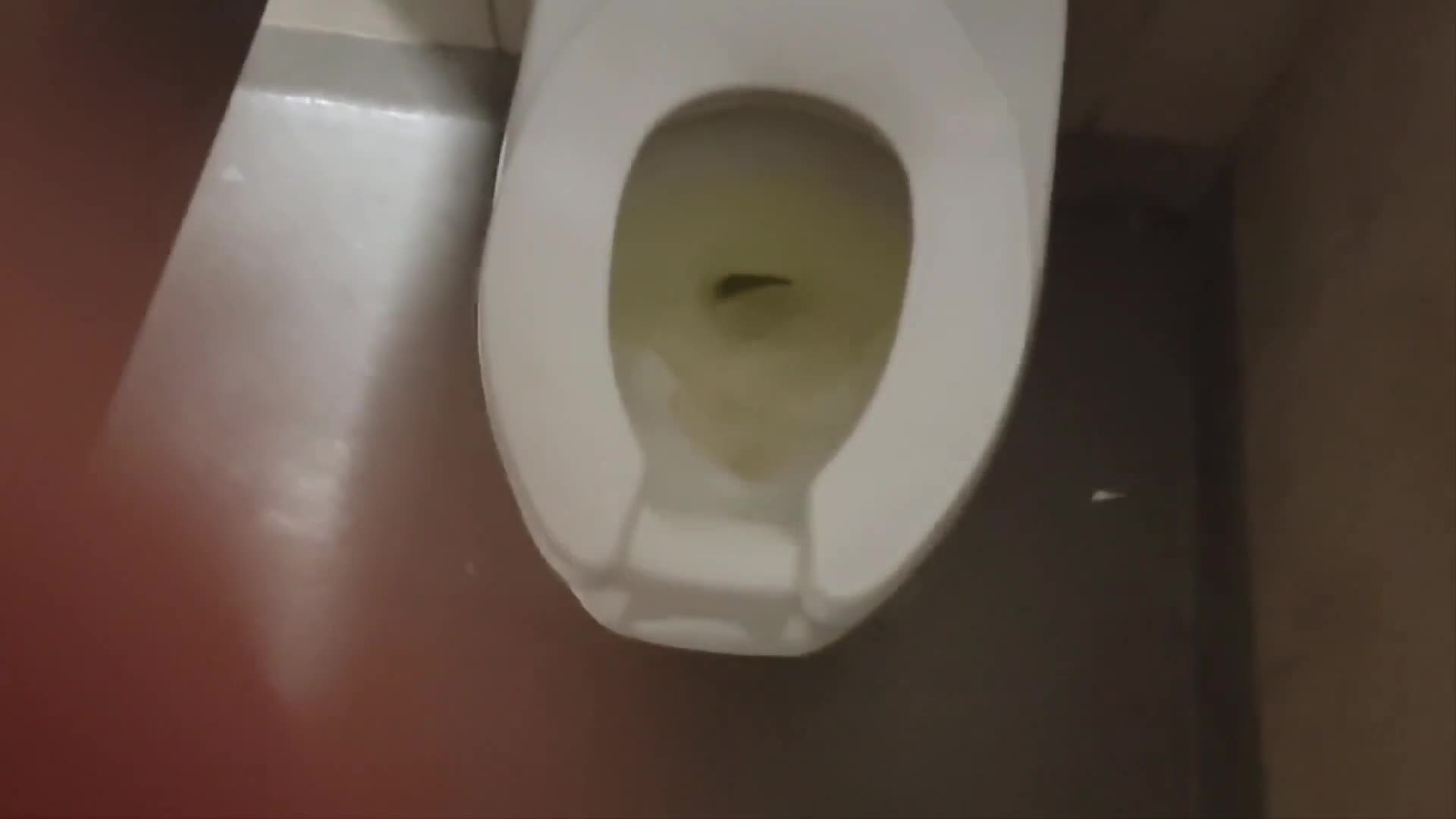 Public Piss Adventure