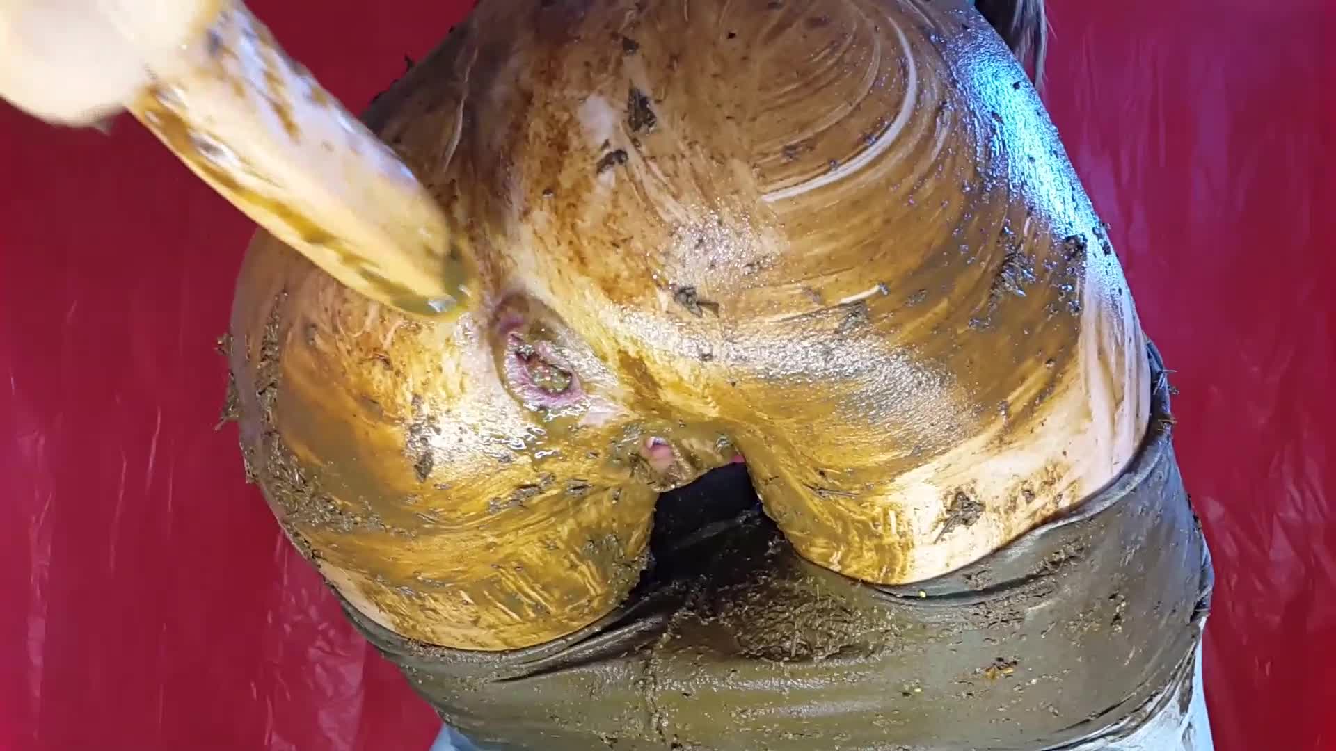 AnnaCoprofield – My Gray Leggings are Dirty Again