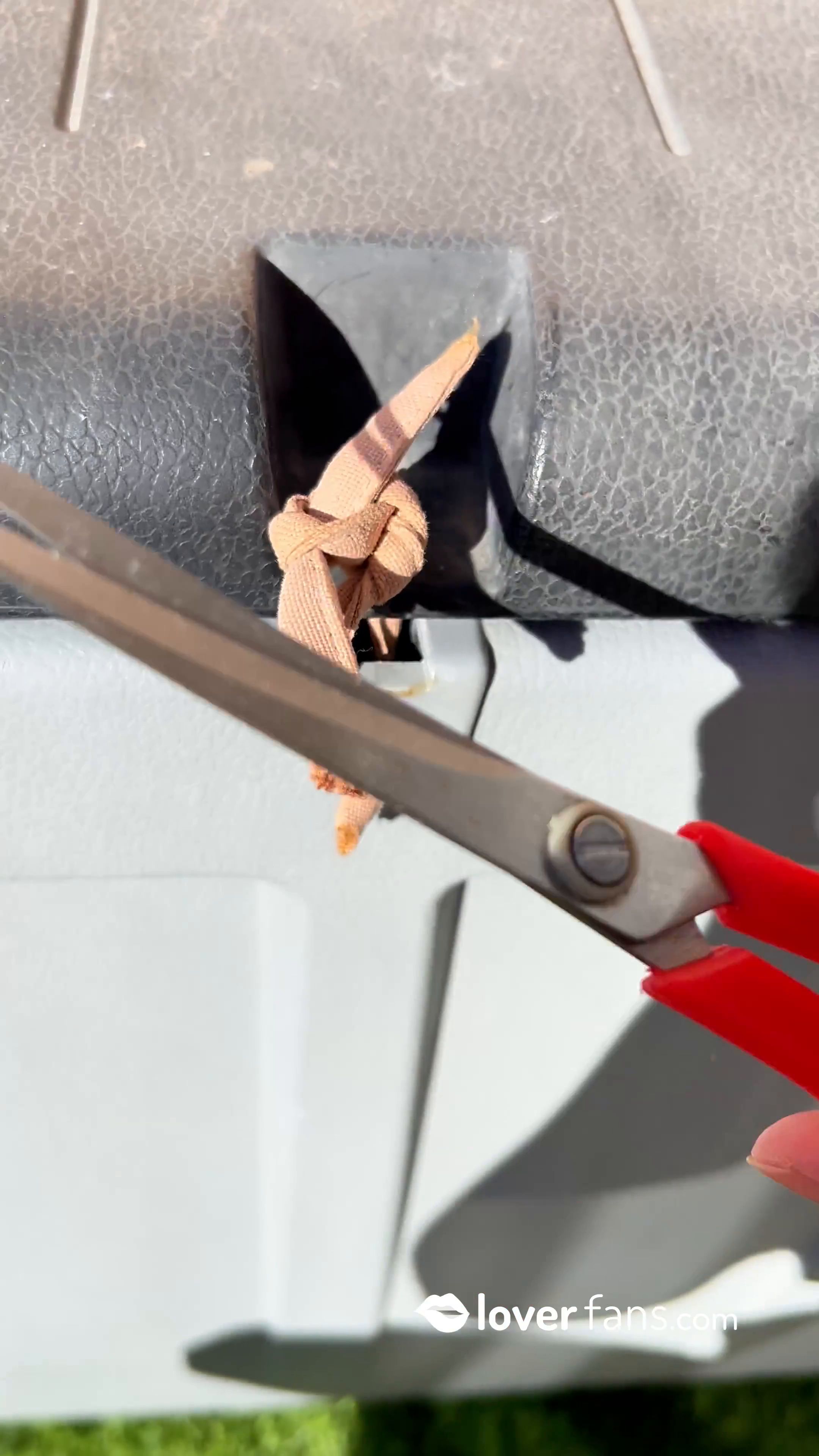 Golden Rain Palace – Waiting For My Return