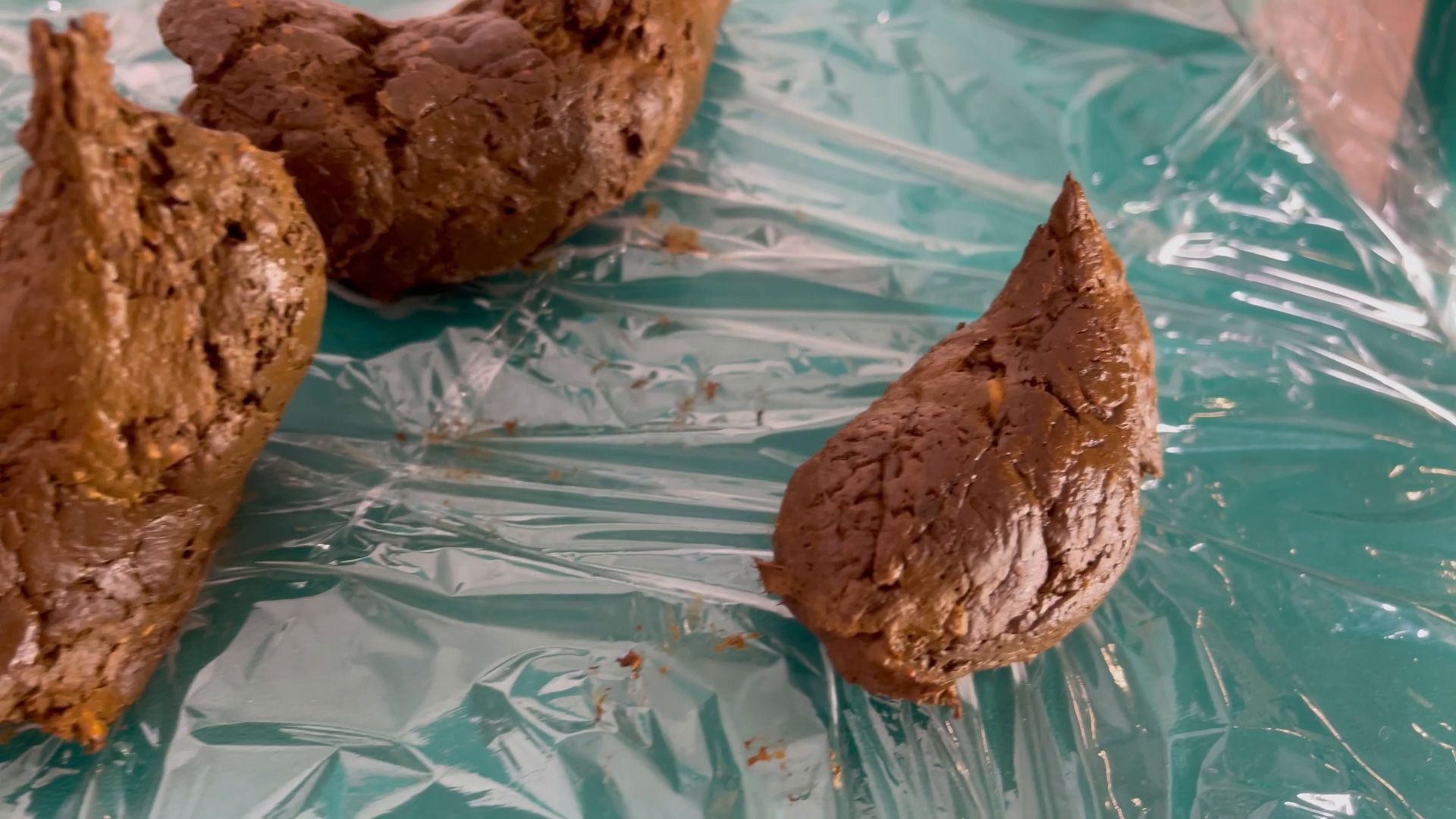 Sophia Sprinkle – Princess Turdstool + Bonus Farts