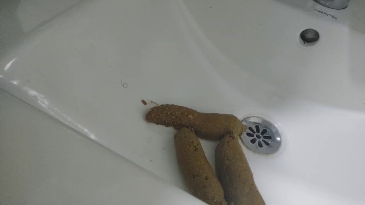 NataschaDirty – I poop in a sink