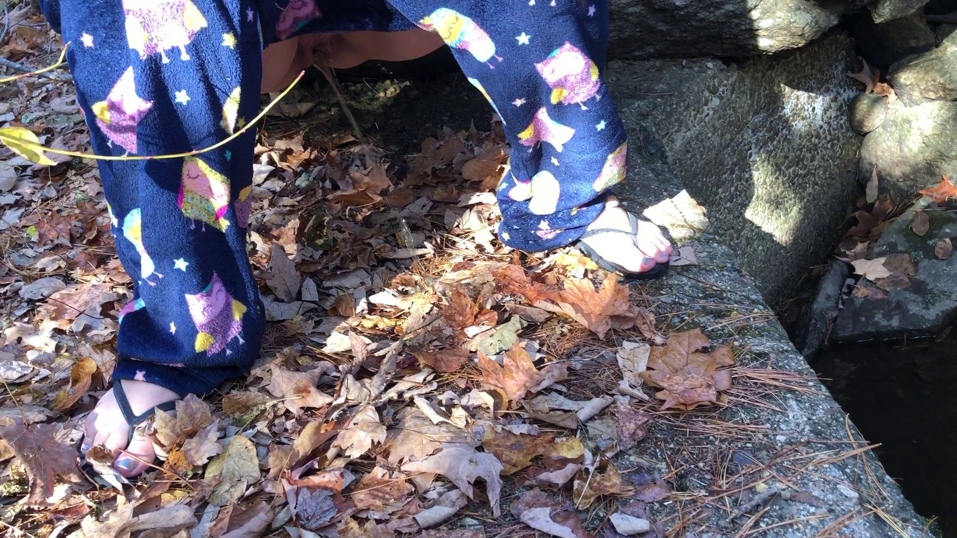 Wife pissing outside in the leaves