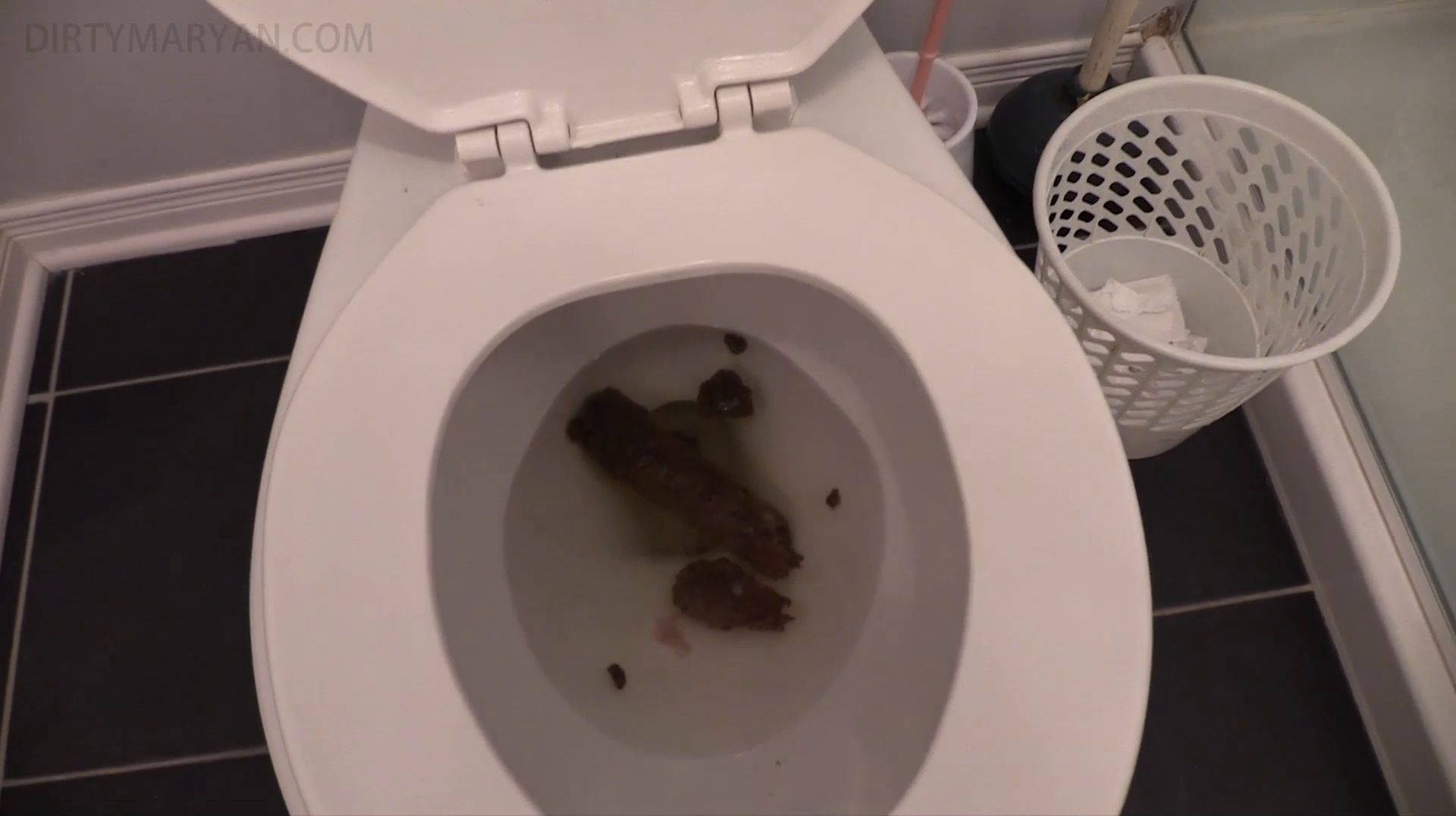 DirtyMaryan – Morning turd sniffing toilet paper and my asshole is burning