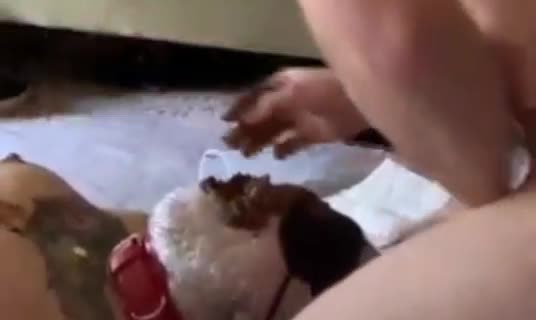 Portapottyqueen – Masters little toilet choked on his massive shit