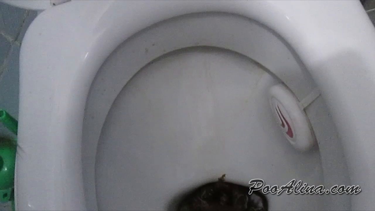 suppkakiem – Young Alina big shitting on toilet in the morning 12