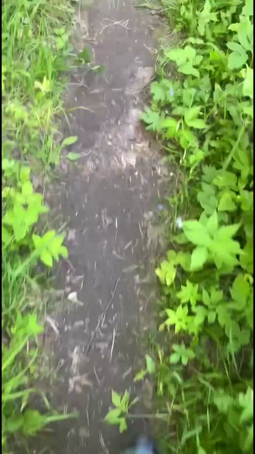 PooGirl – Week at the dacha, piss and shit