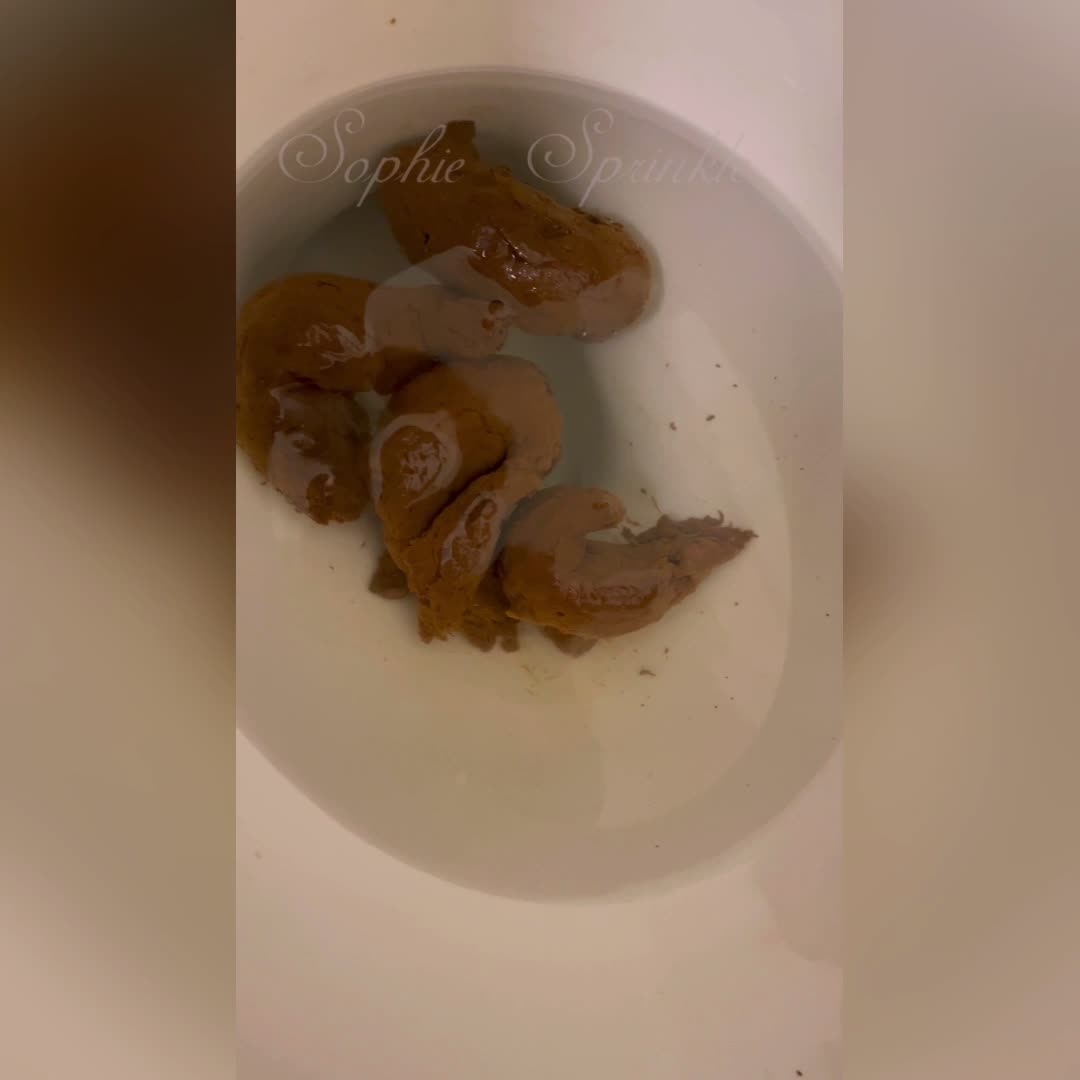 Trophy Turds