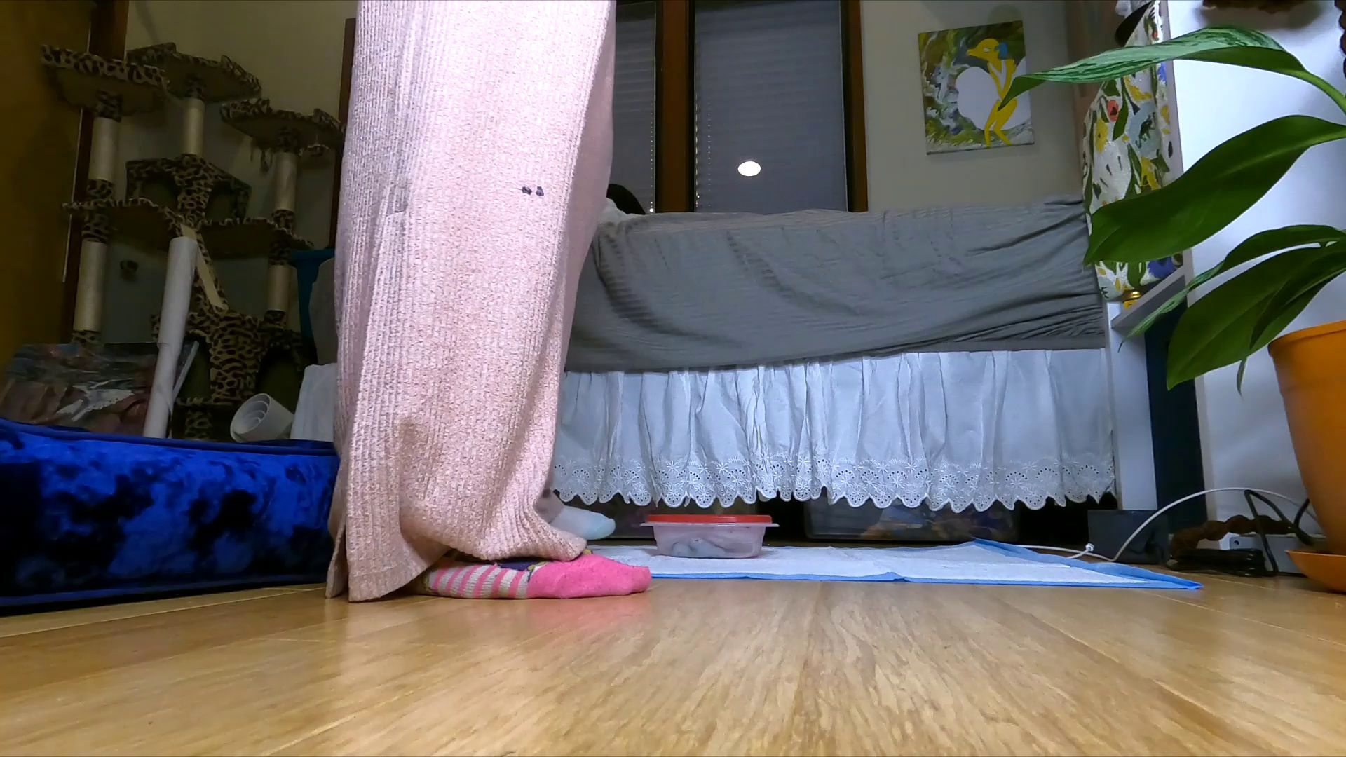 gassy – aug 7 Gassy poo comp