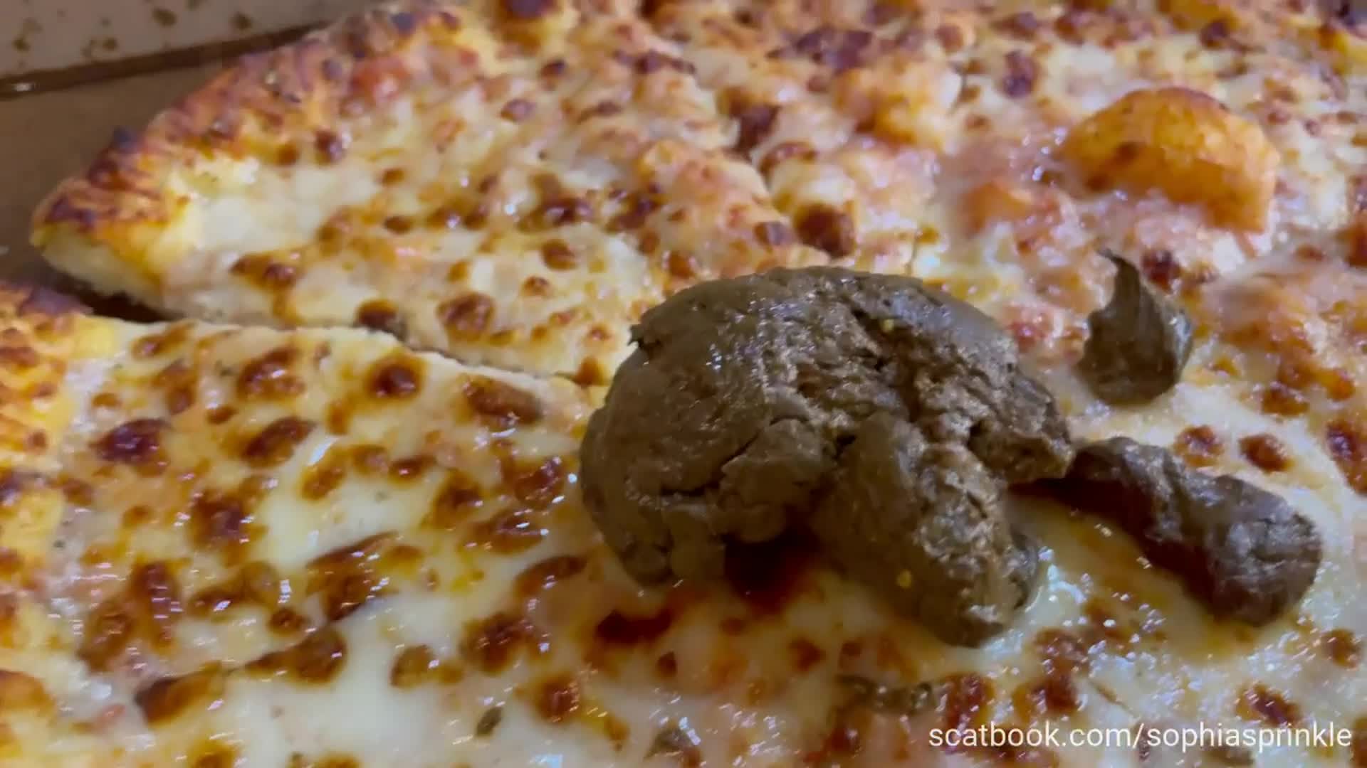 unreal 1 5 lb panty poop – what would you like on your pizza