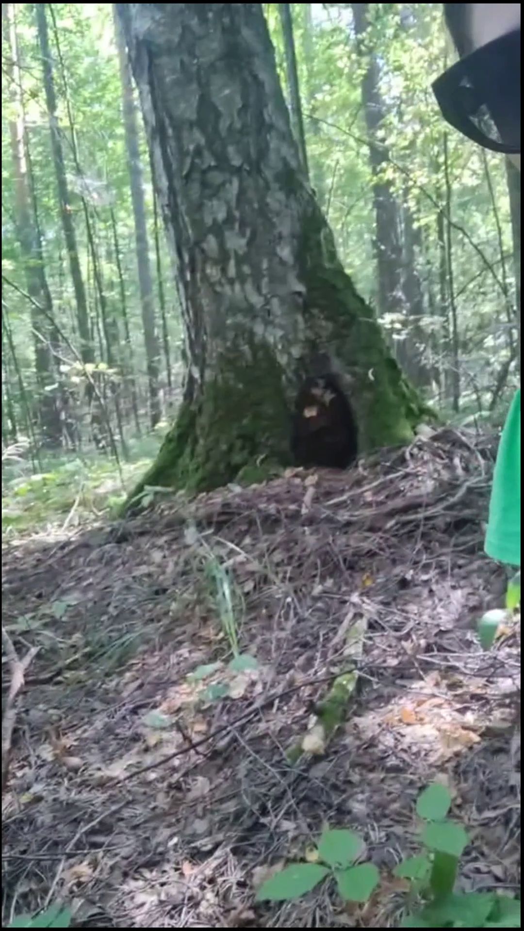 PooGirl – Huge long poop in the park