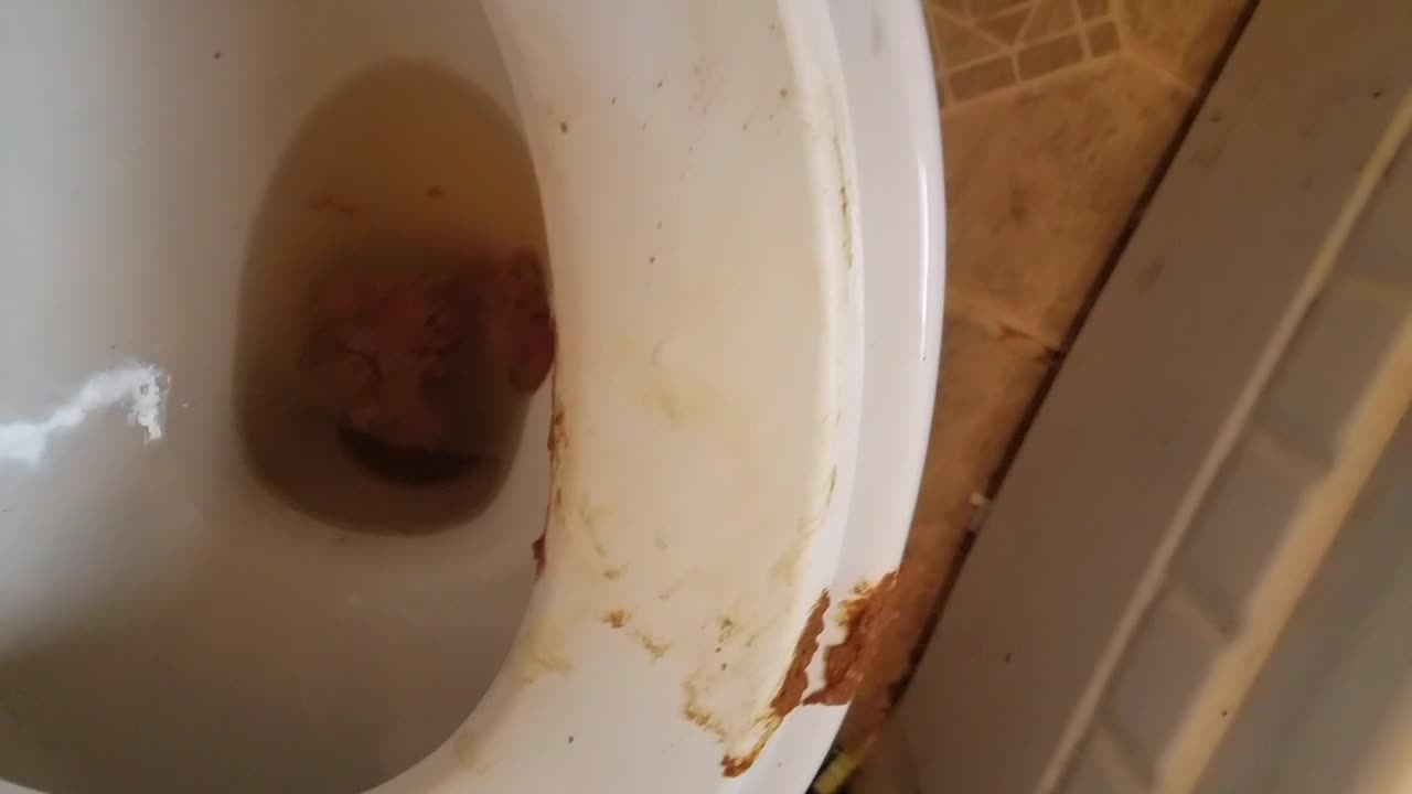 Amberbooty – Toilet Cam 5 0 – Big ebony Ass shitting