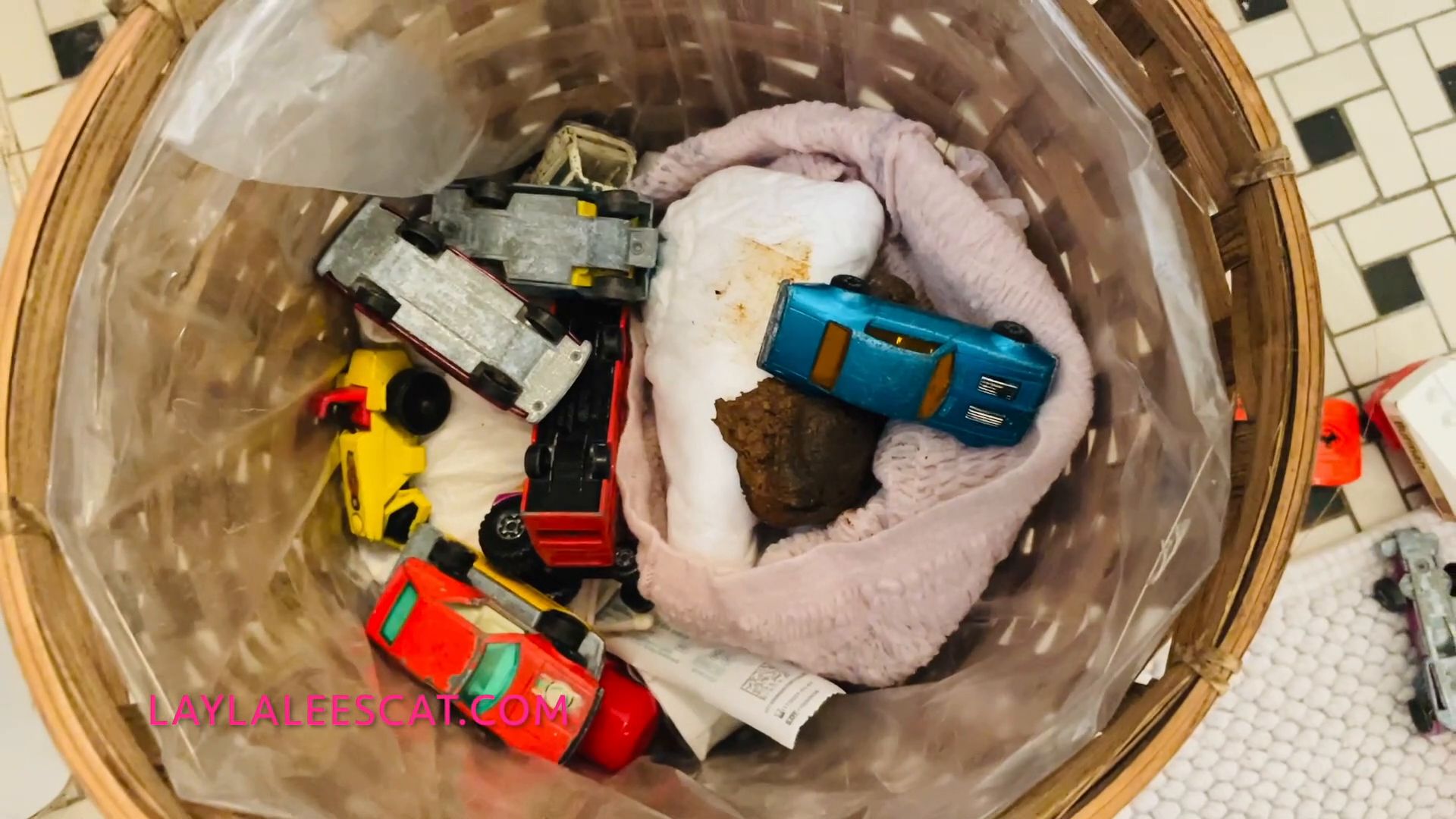 Layla Lee – Pooping on your toys