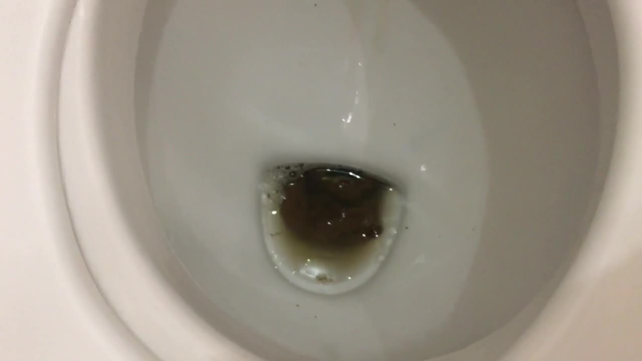 How does a lot of shit fit in that ass