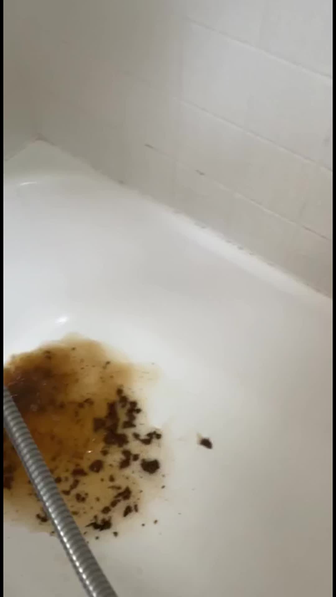 VibeWithMolly – Mexico diarrhea