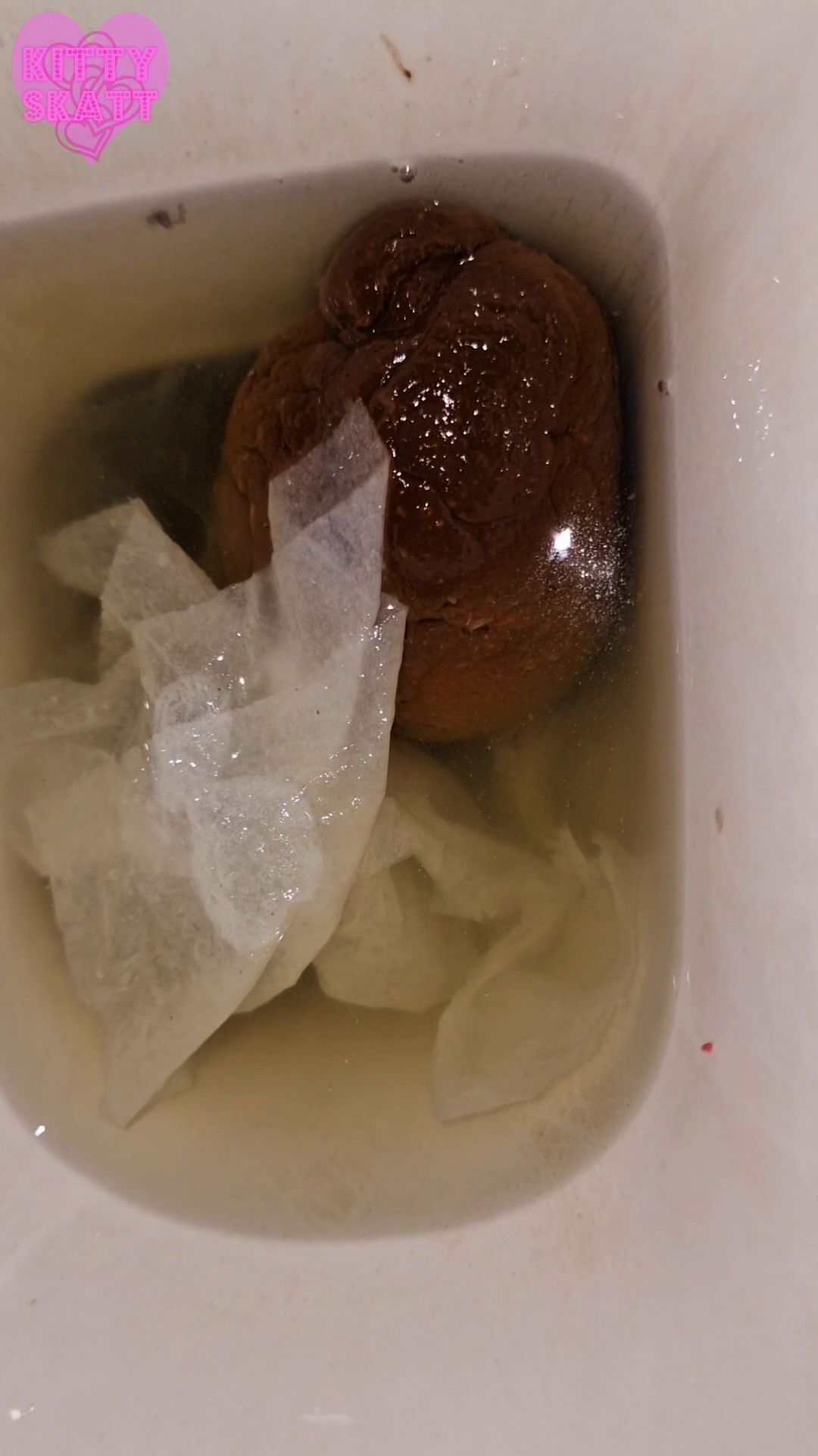 Kitty Skatt – Four unflushable logs