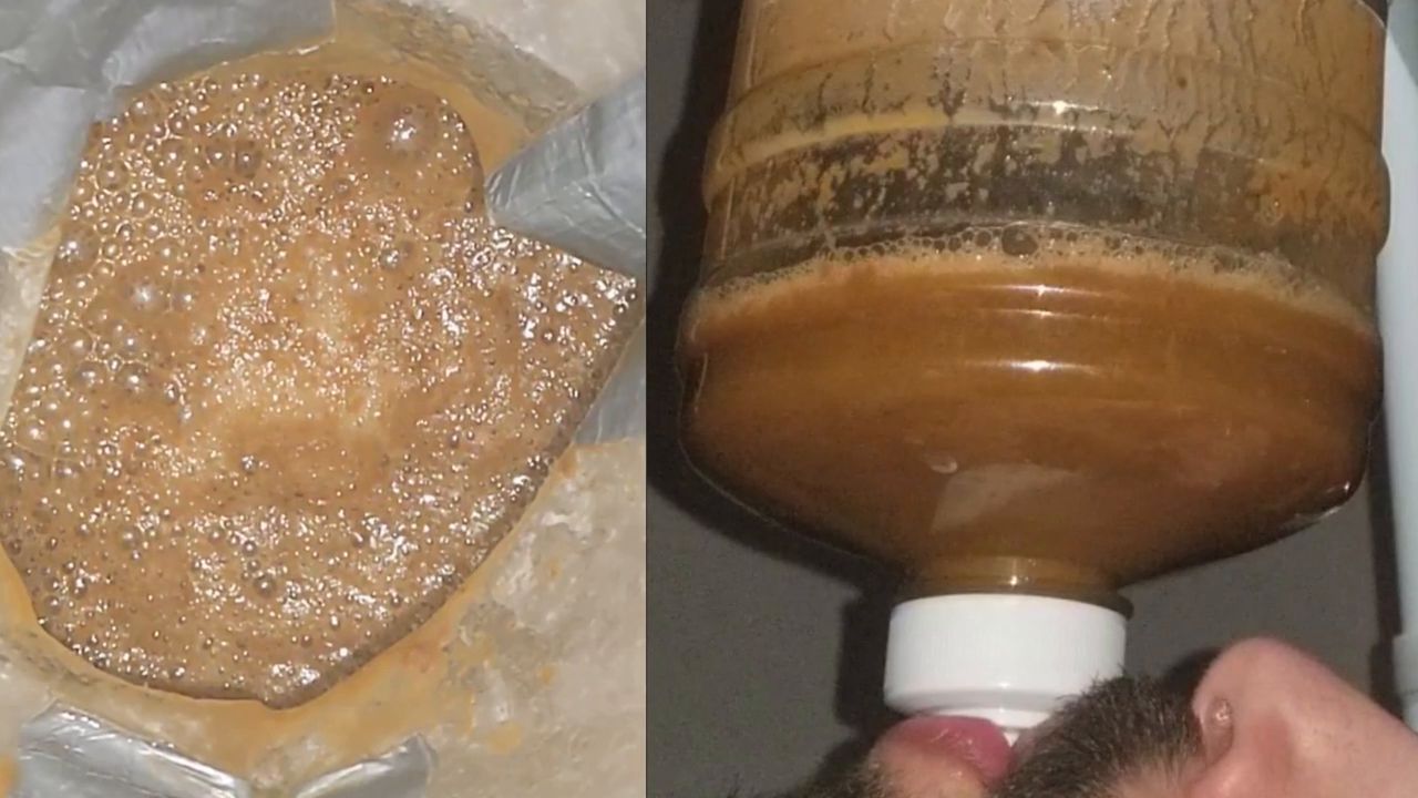 SSBBW Queen Siya – WEIRD ENEMA 7 + BLENDED CARROT MEAL