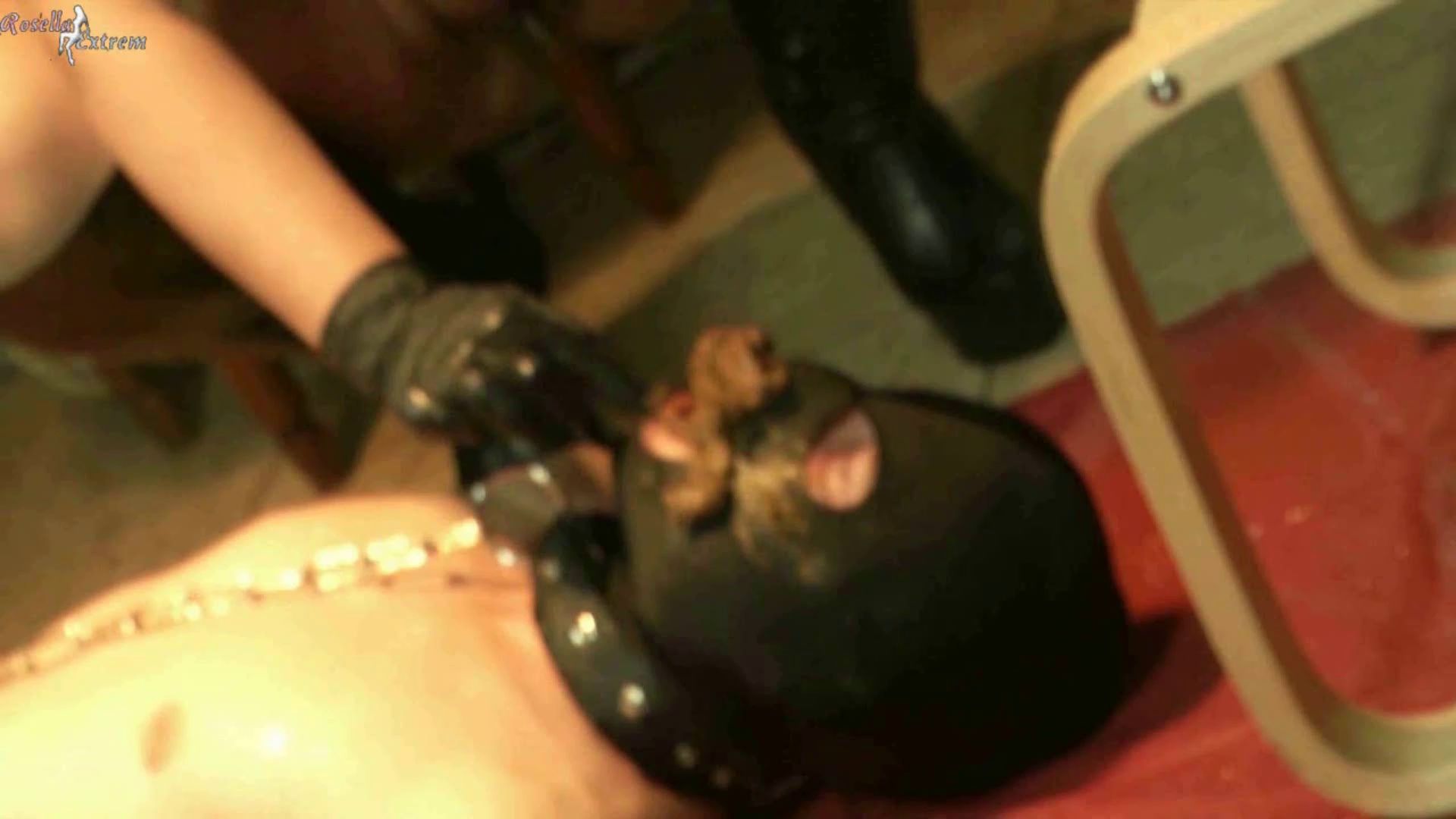 RosellaExtrem – 3 Ladies And A New Living Toilet