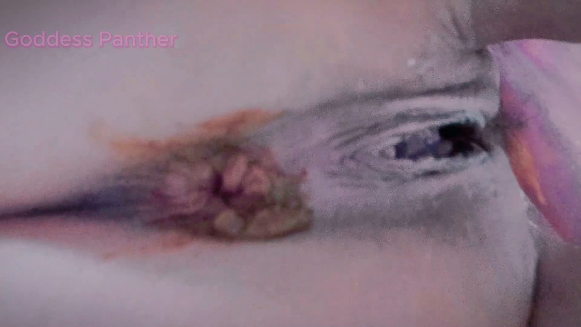 thefartbabes – Desperation On The Throne