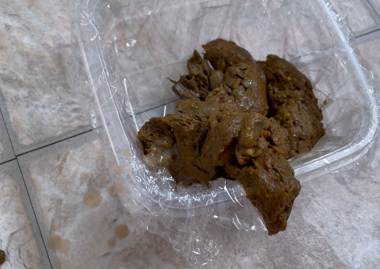 Sophia Sprinkle – Huge Desperate Stinker In Container