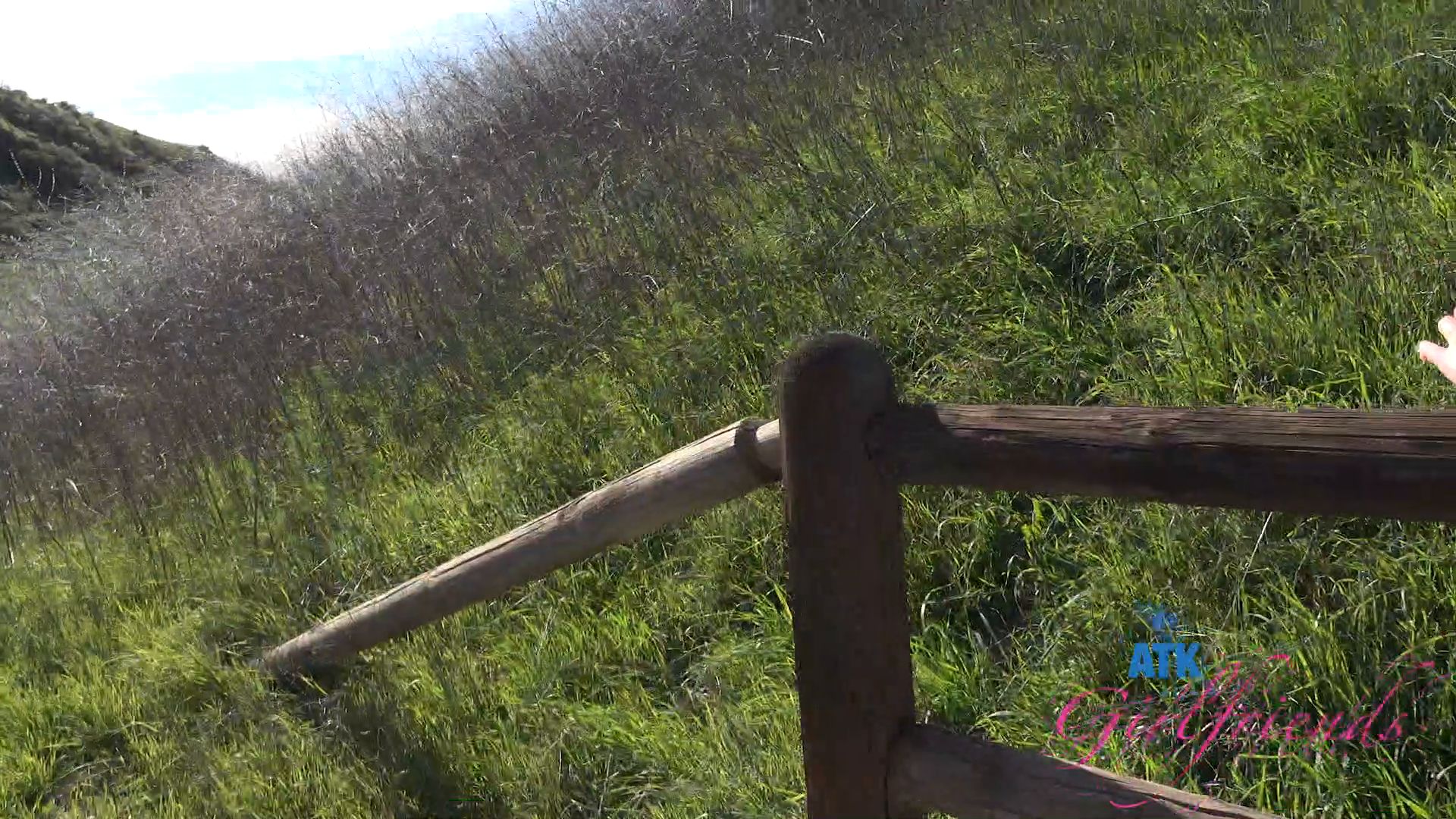 Violet Viper Pee 10 12 2025