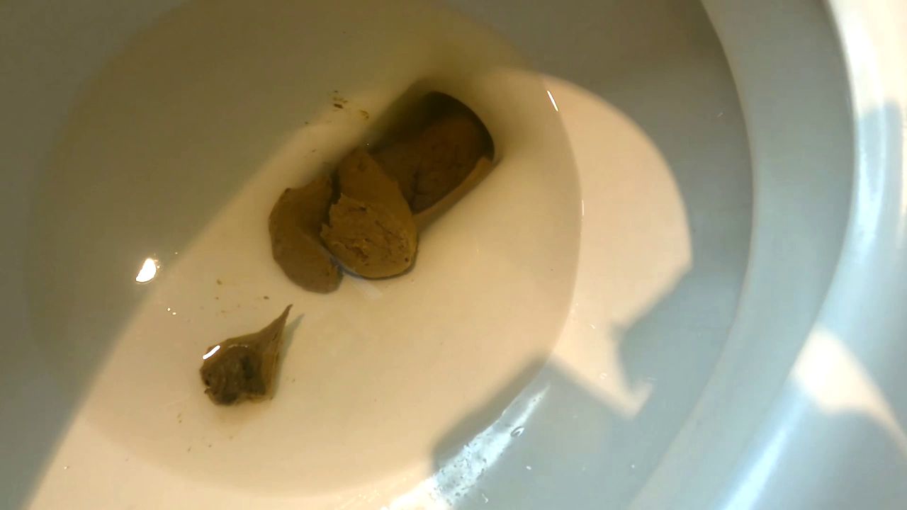 gassy – Treat Shipment plus 3 toilet vids