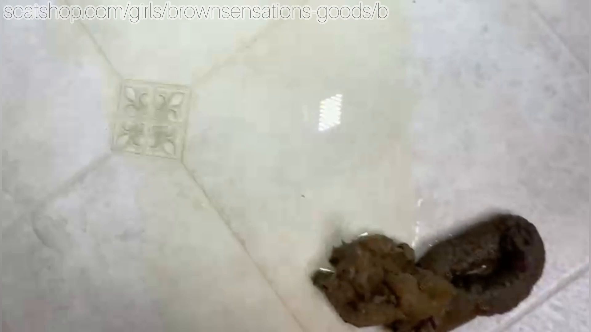 Brownsensations – Squat And Splat