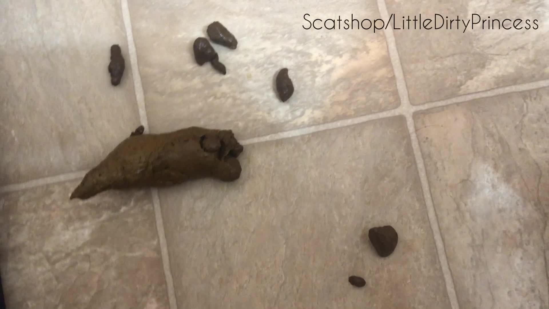 LittleDirtyPrincess – Urgent shit plops on the floor