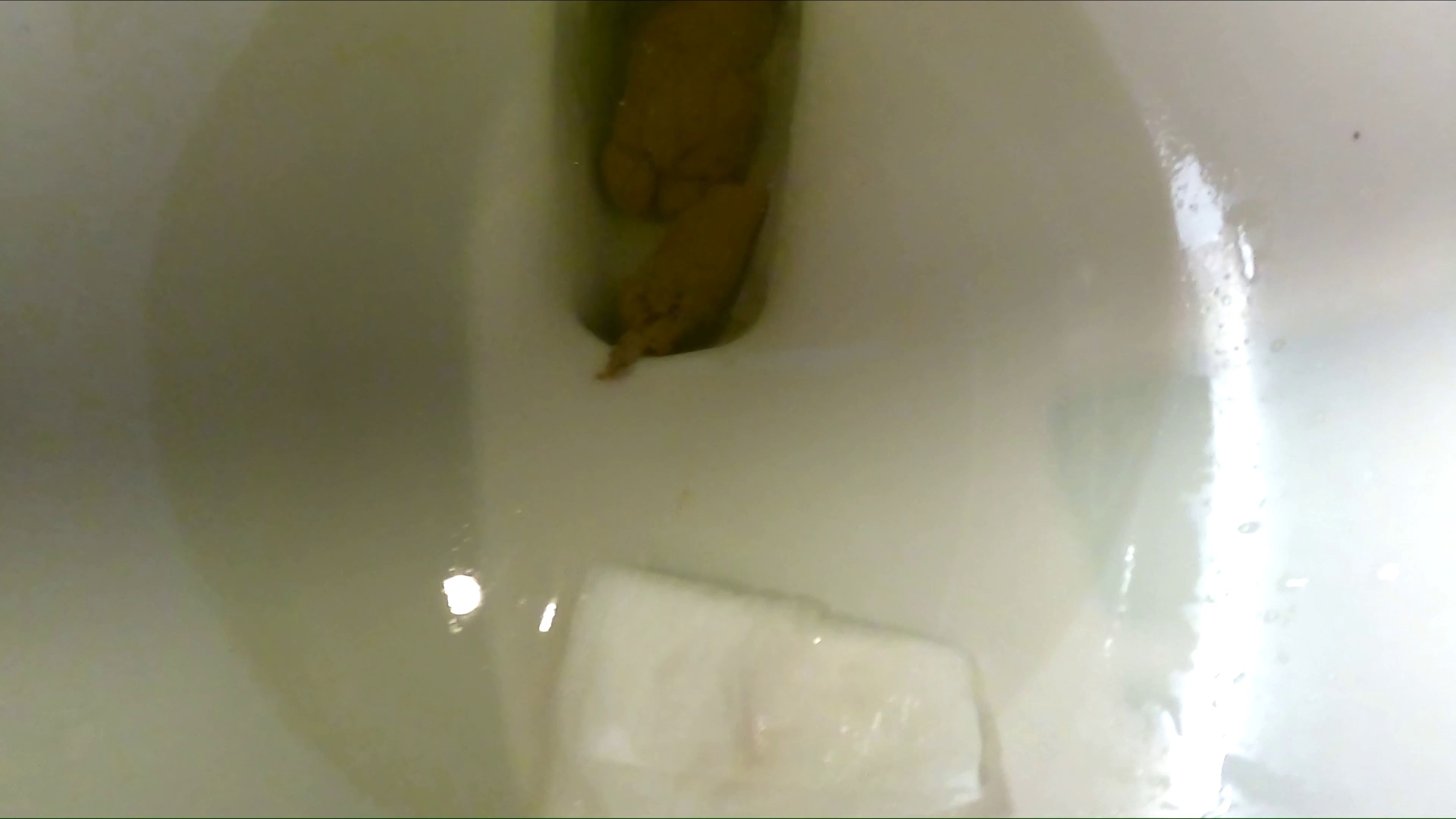 Classy N Gassy – Thick and Healthy While I Dirty Talk You