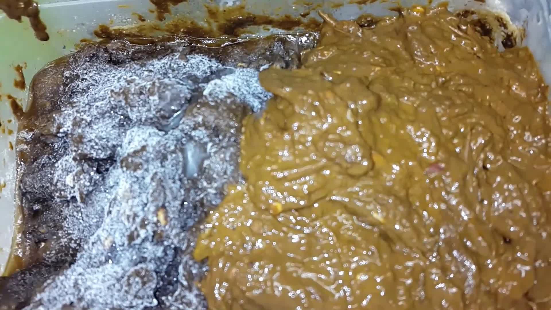 AnnaCoprofield – Collect 4 shit to freeze