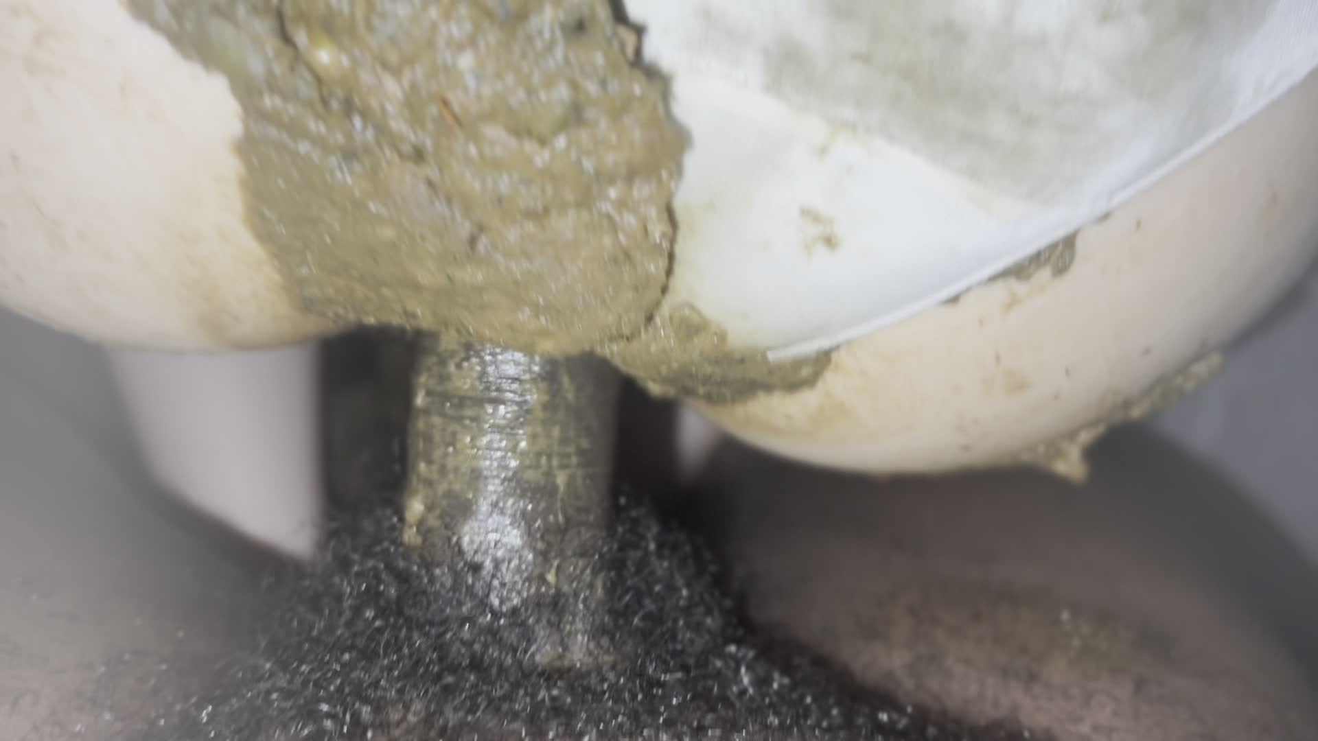 FilthJapaneseGirl – Shitty Quicky