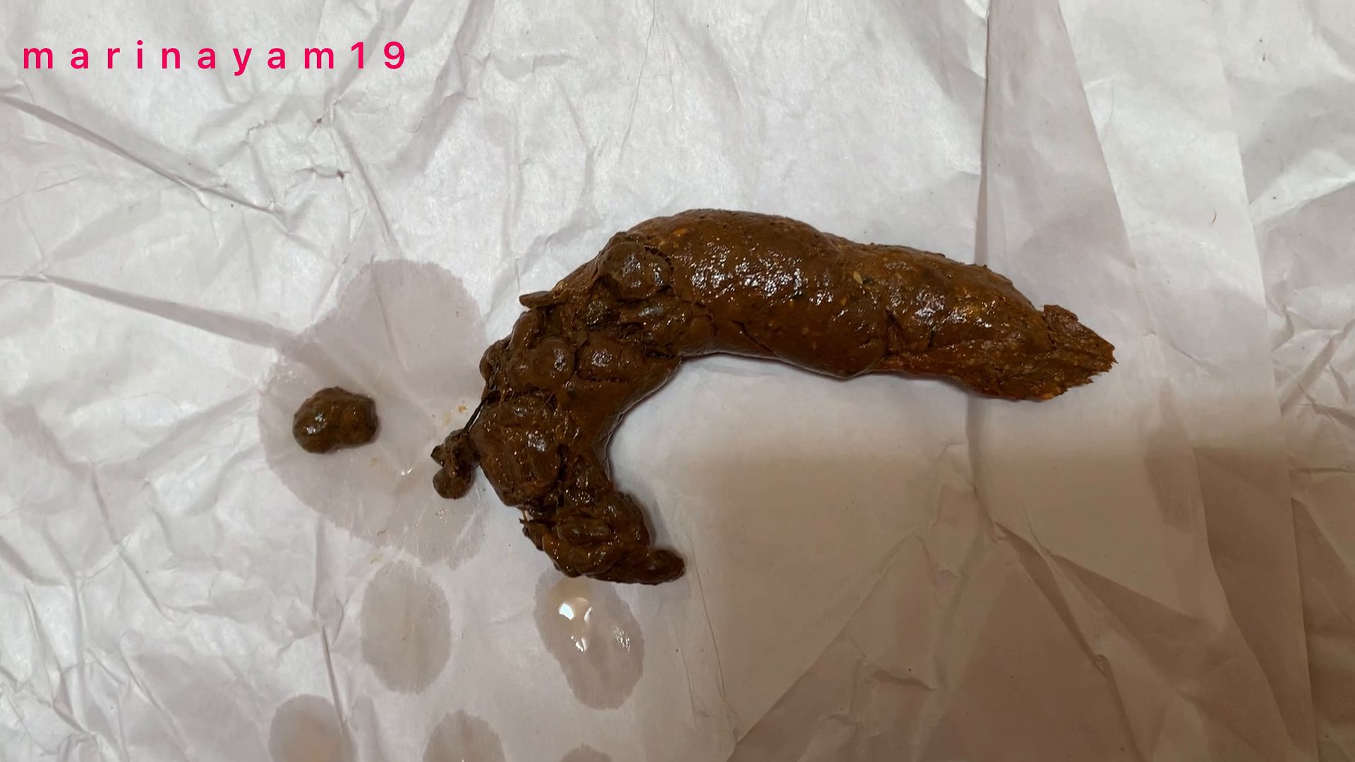 Marinayam19 – Cum while I poop!