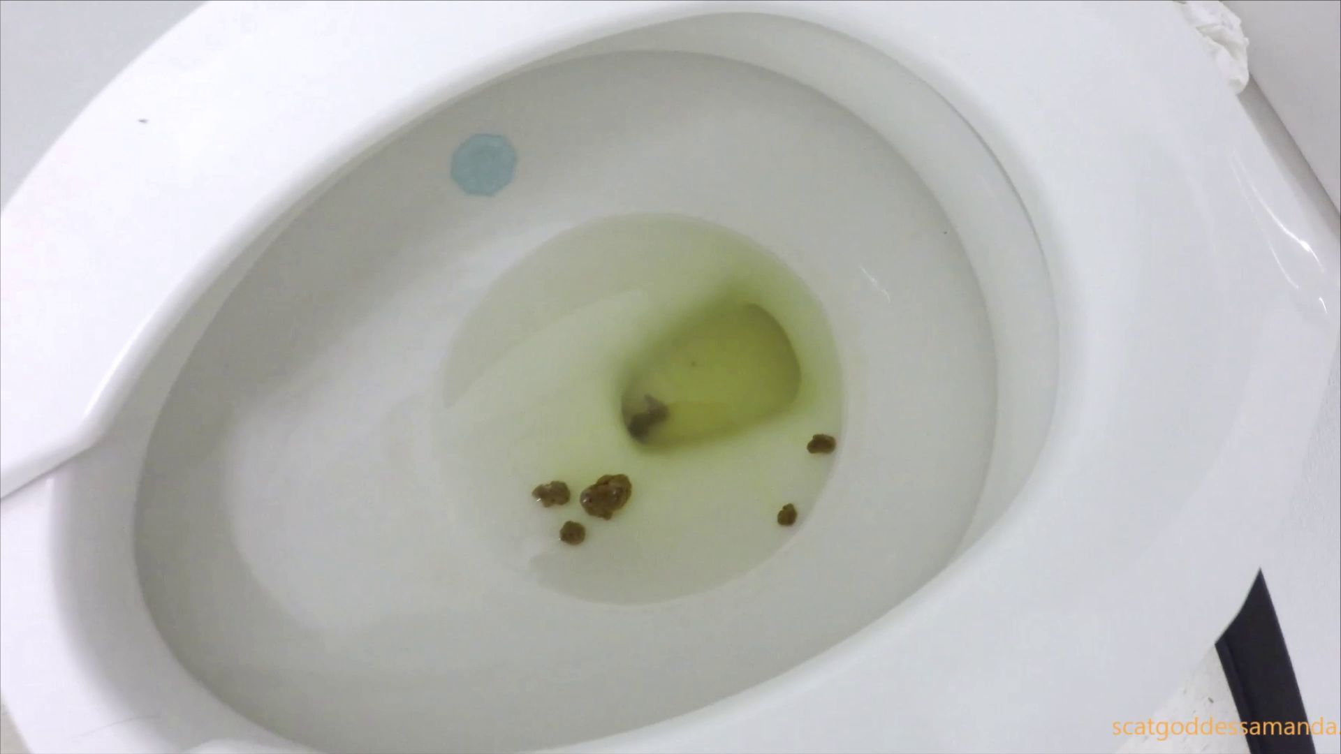 ScatGoddess – Tasting My Constipated Hard Turds