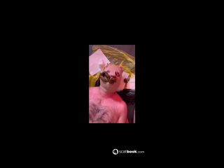 Preview 8